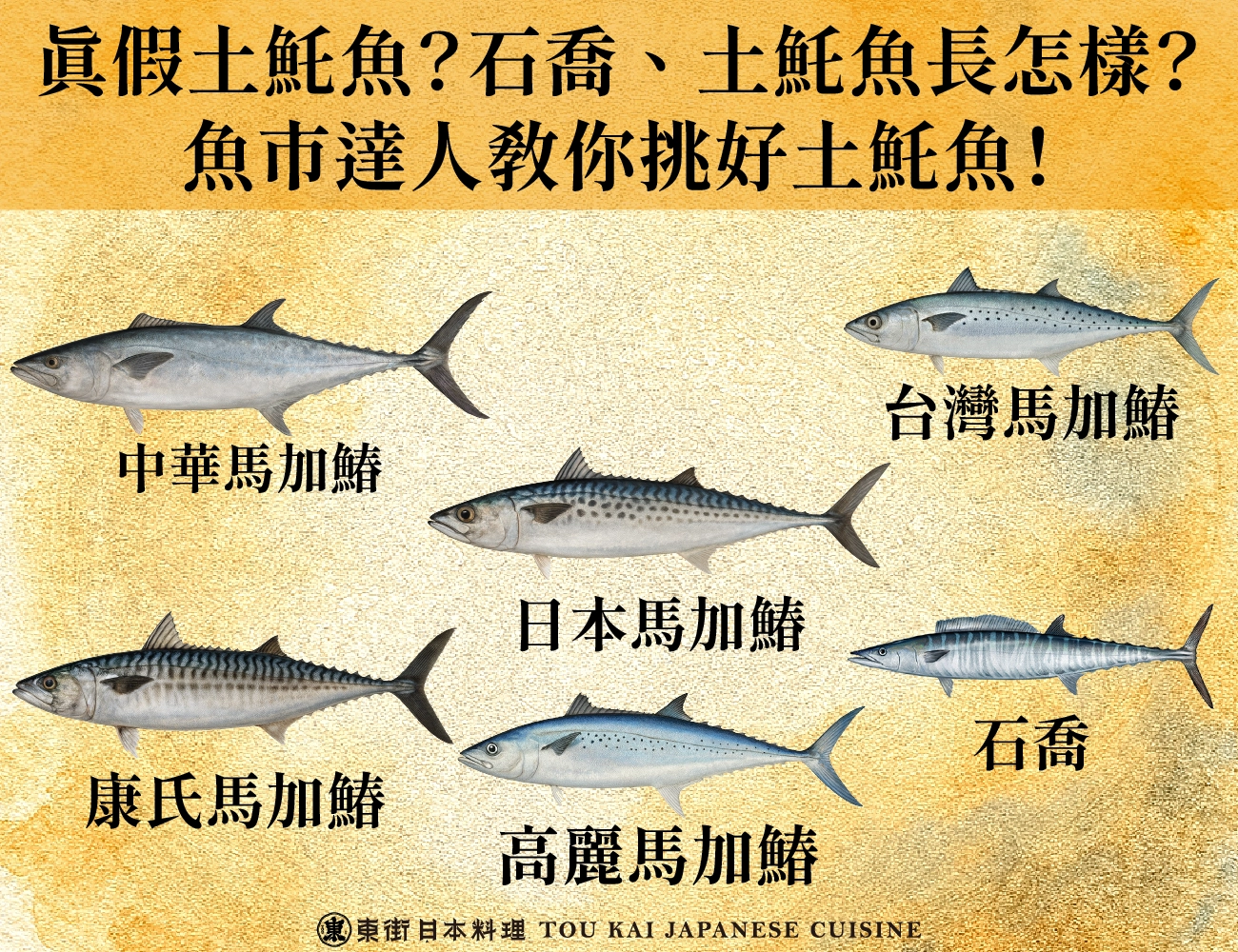 土魠,魠魚,假土魠魚