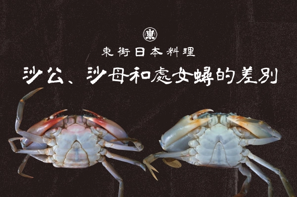 沙公,沙母,沙公沙母差別
