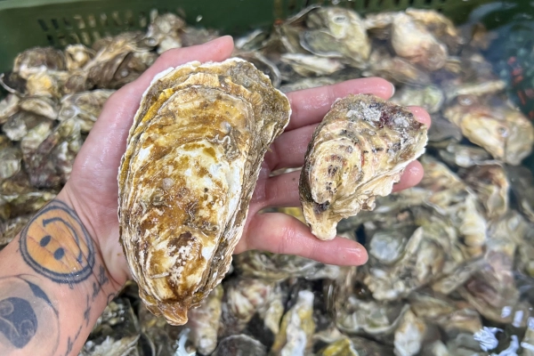 崁仔頂必買、烤肉食材推薦、ㄎㄠㄖㄡㄕˊㄘㄞ