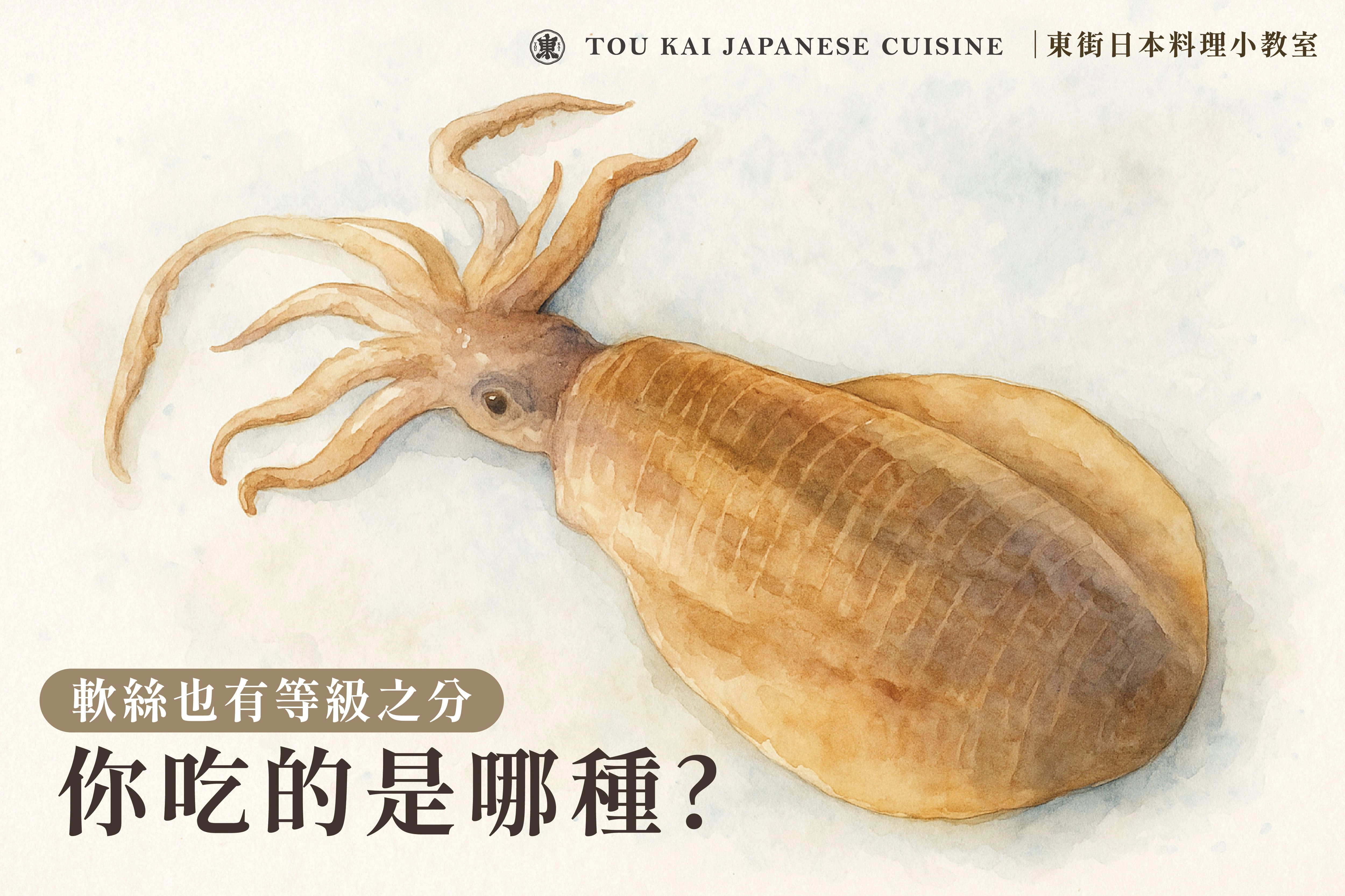 軟絲料理,軟絲,軟絲花枝透抽