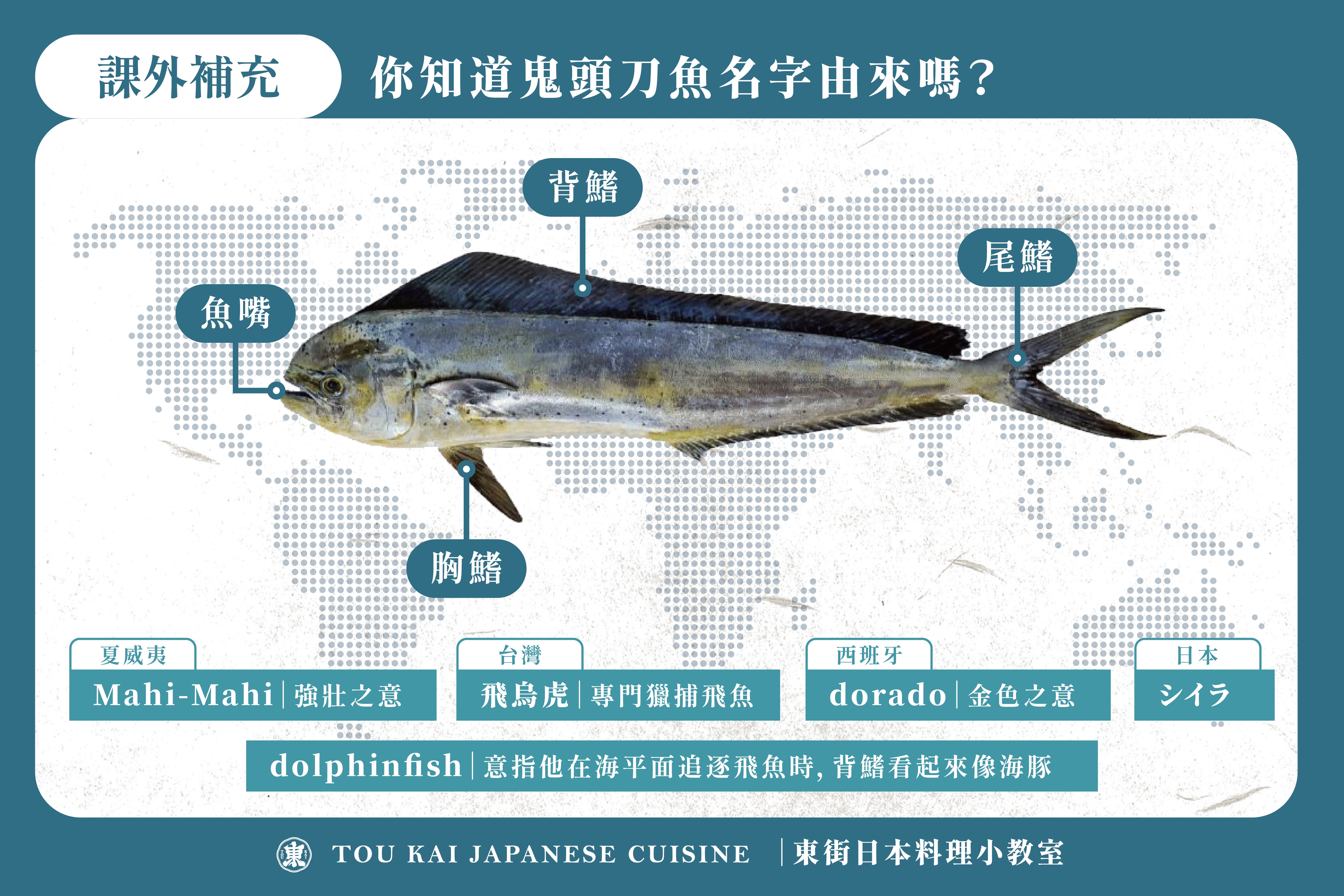 鬼頭刀魚、東街日本料理、鬼頭刀介紹
