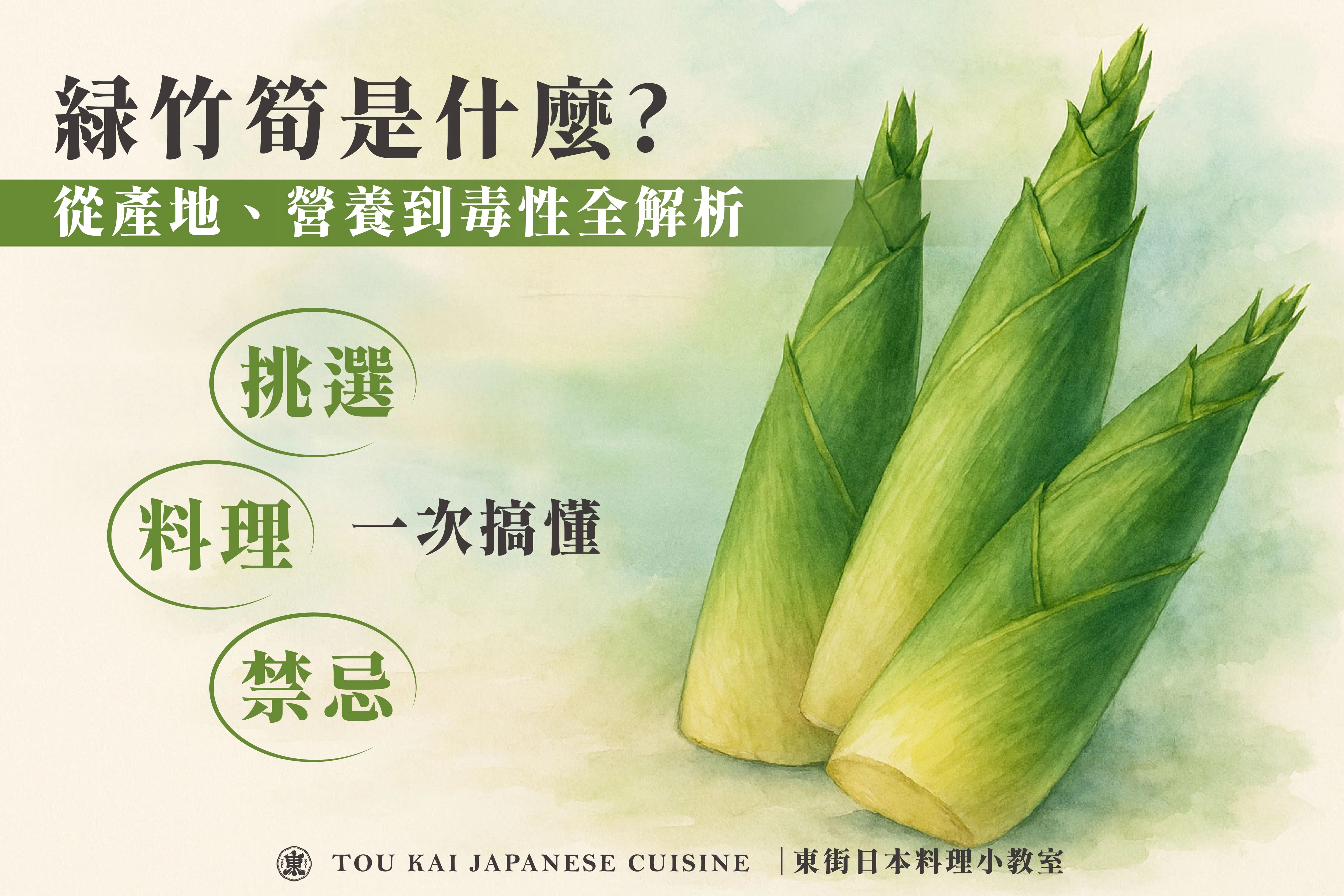 綠竹筍,烏殼綠竹筍,烏殼筍