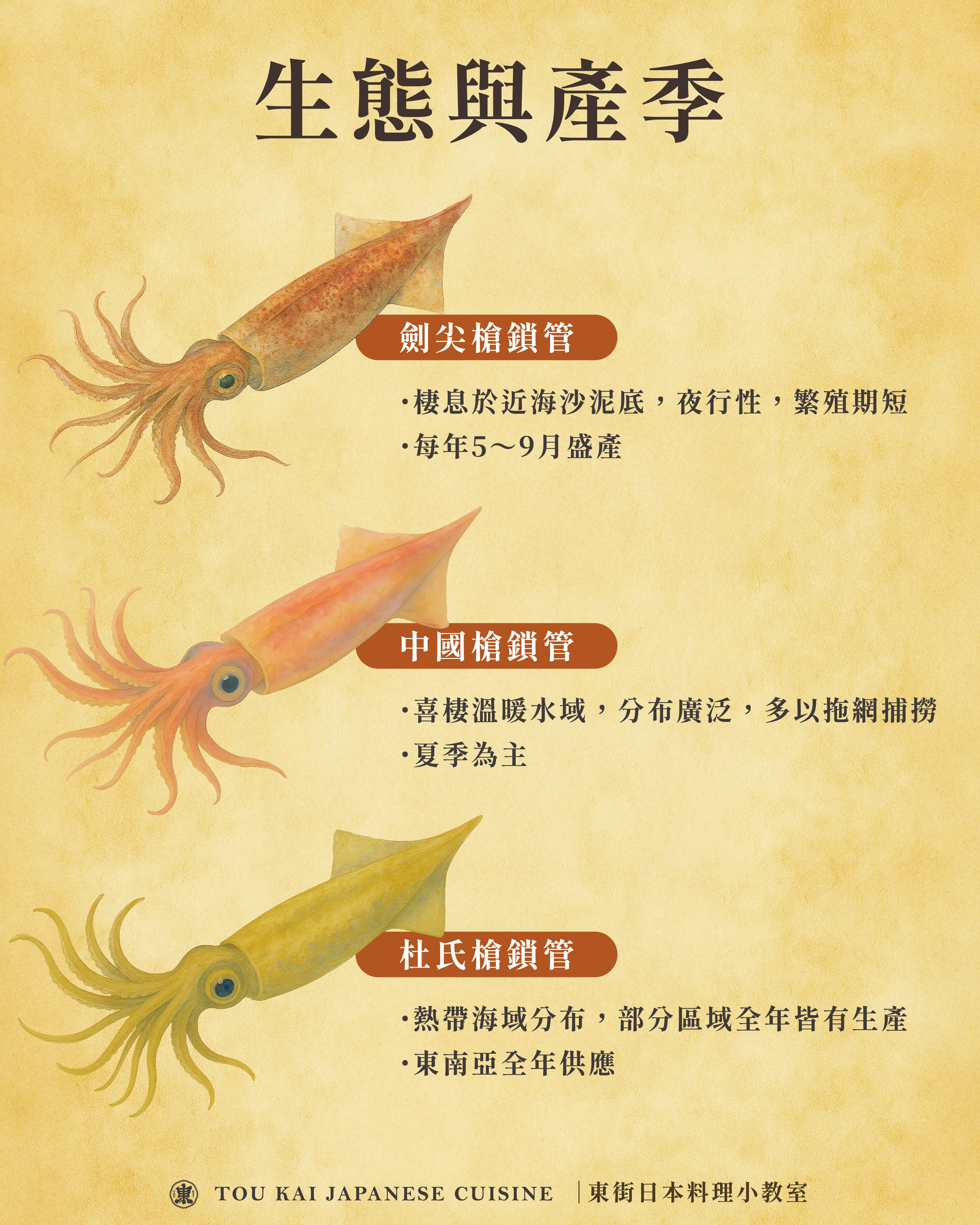 小卷片,小卷,小捲