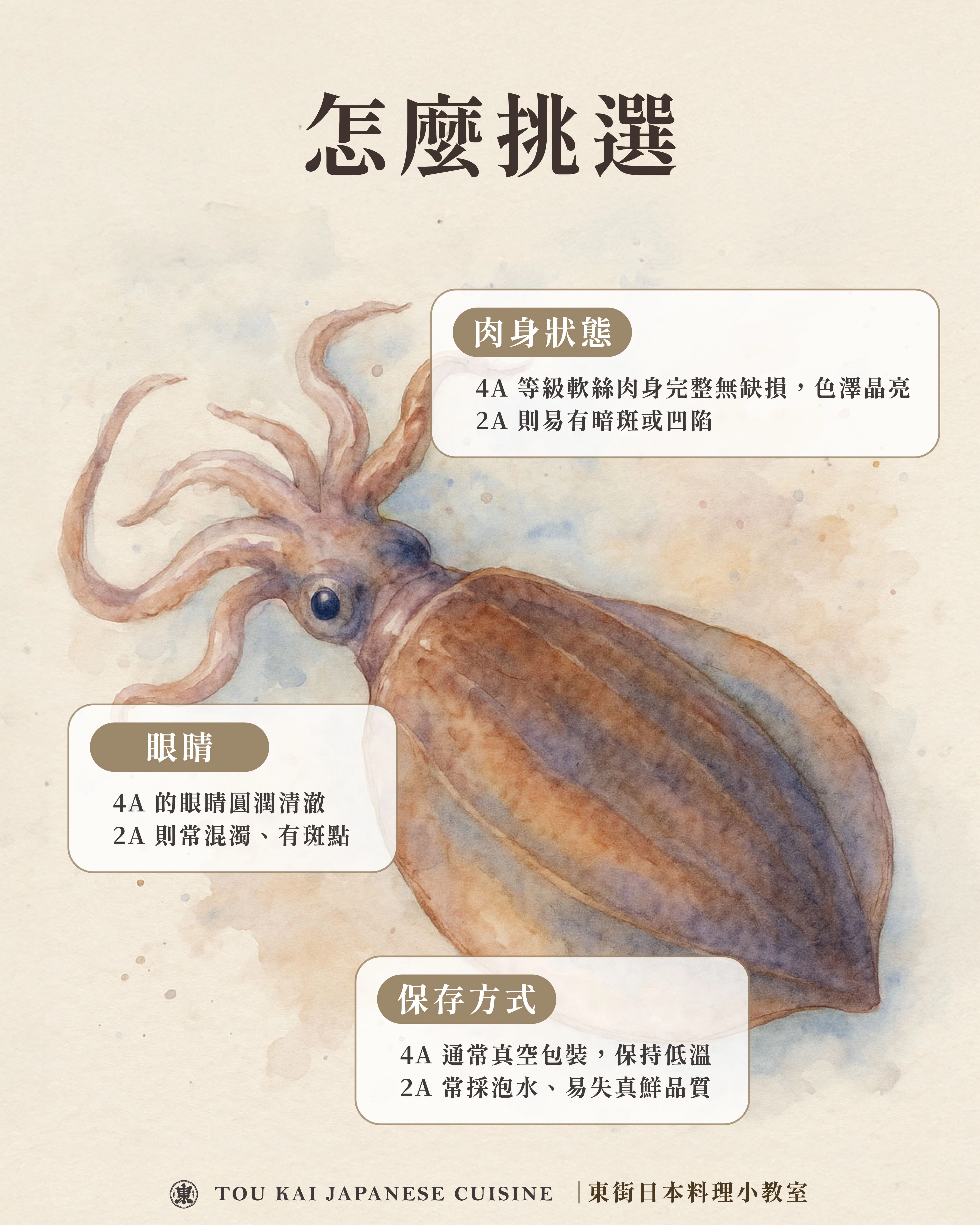 軟絲料理,軟絲,軟絲花枝透抽