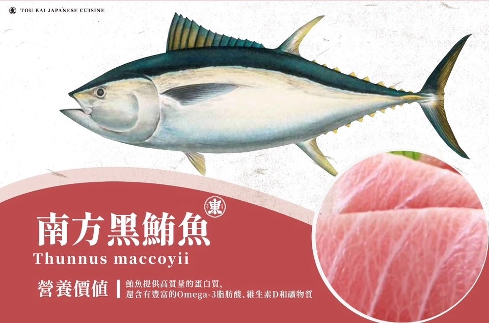 南方黑鮪魚,,鮪魚生魚片,鮪魚刺生