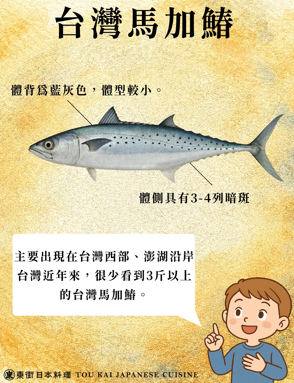 土魠、土魠魚、假土魠魚