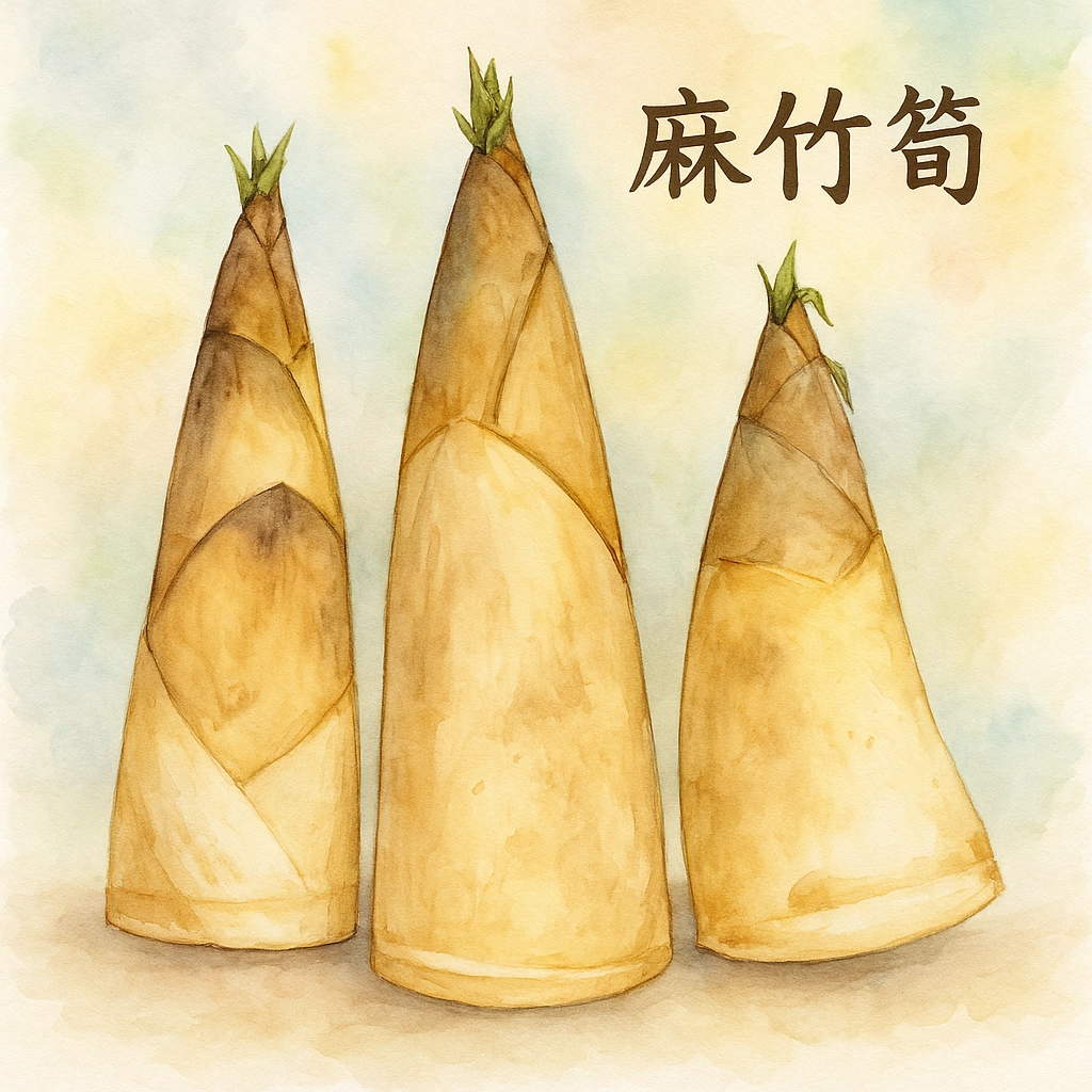 綠竹筍,烏殼綠竹筍,烏殼筍