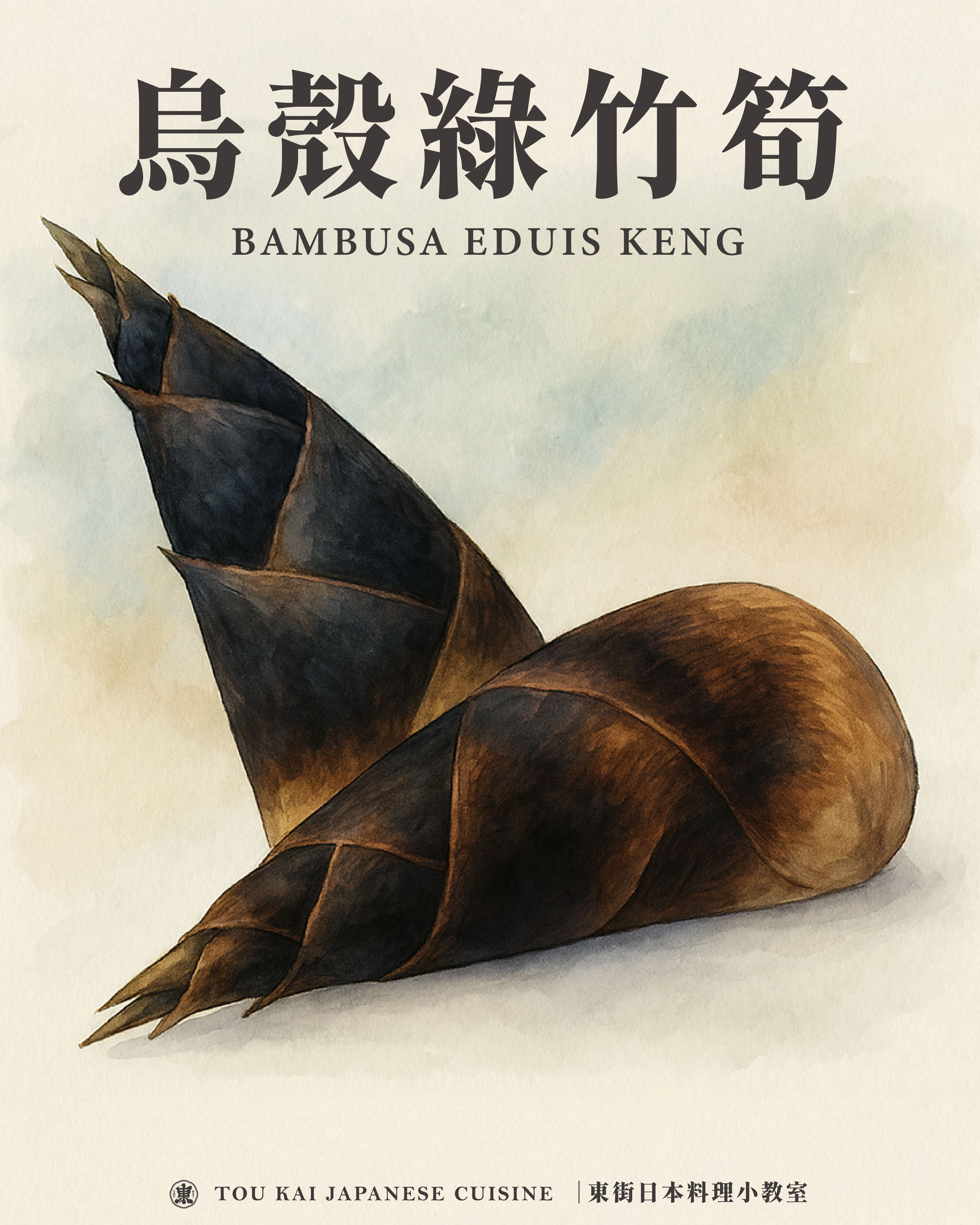 綠竹筍,烏殼綠竹筍,烏殼筍