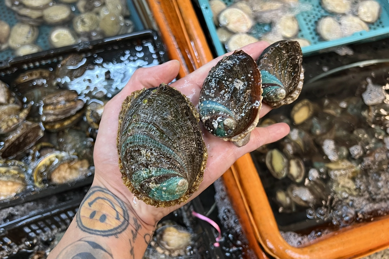 烤肉食材推薦,崁仔頂必買,台灣九孔鮑魚