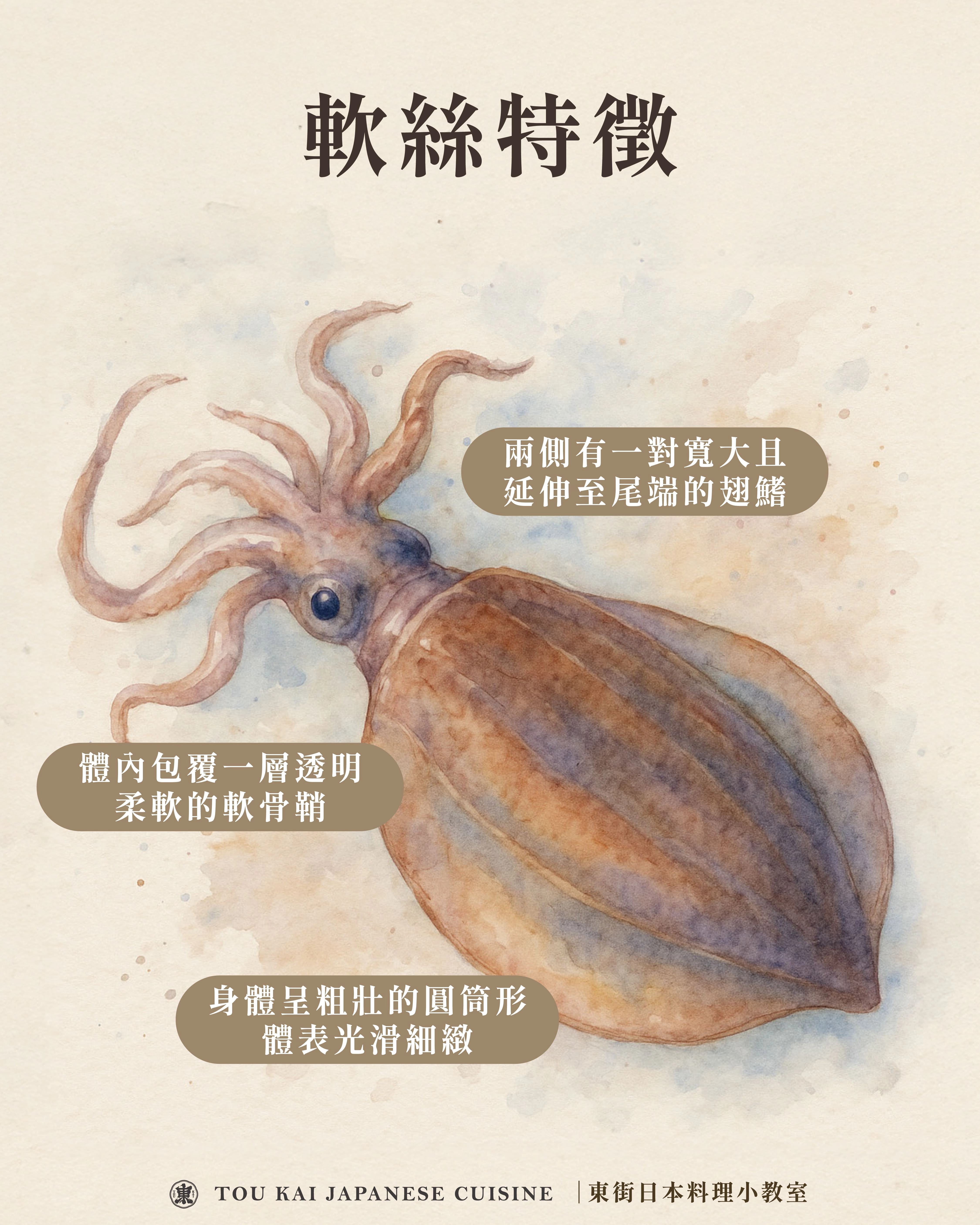 軟絲料理,軟絲,軟絲花枝透抽