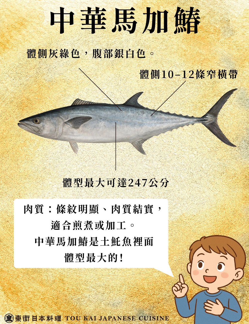 土魠、土魠魚、假土魠魚