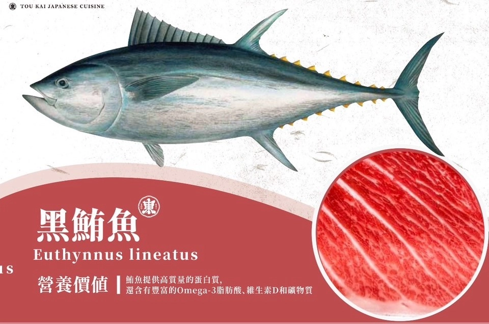 黑鮪魚,鮪魚生魚片,黑鮪魚刺生