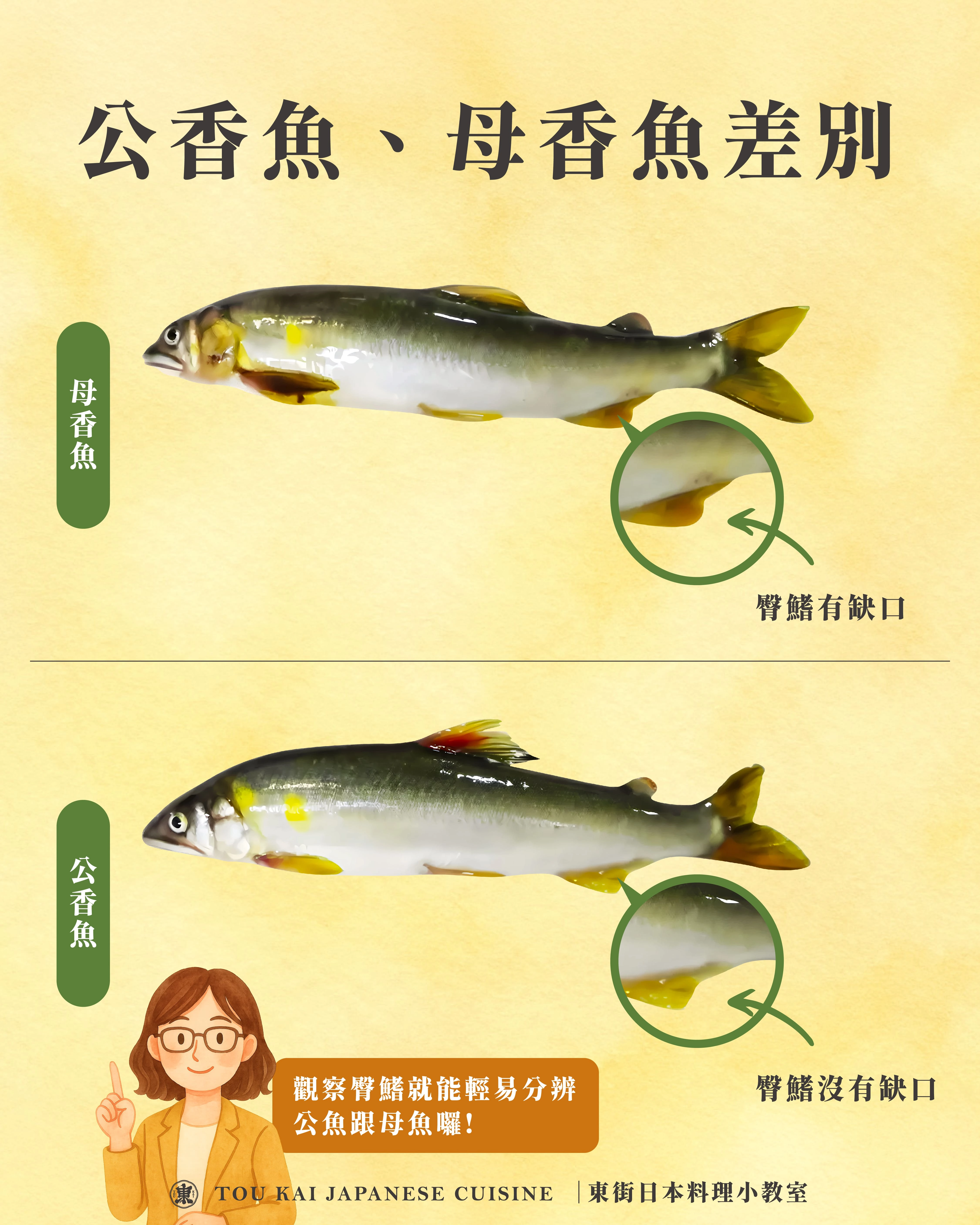 香魚,公香魚,母香魚
