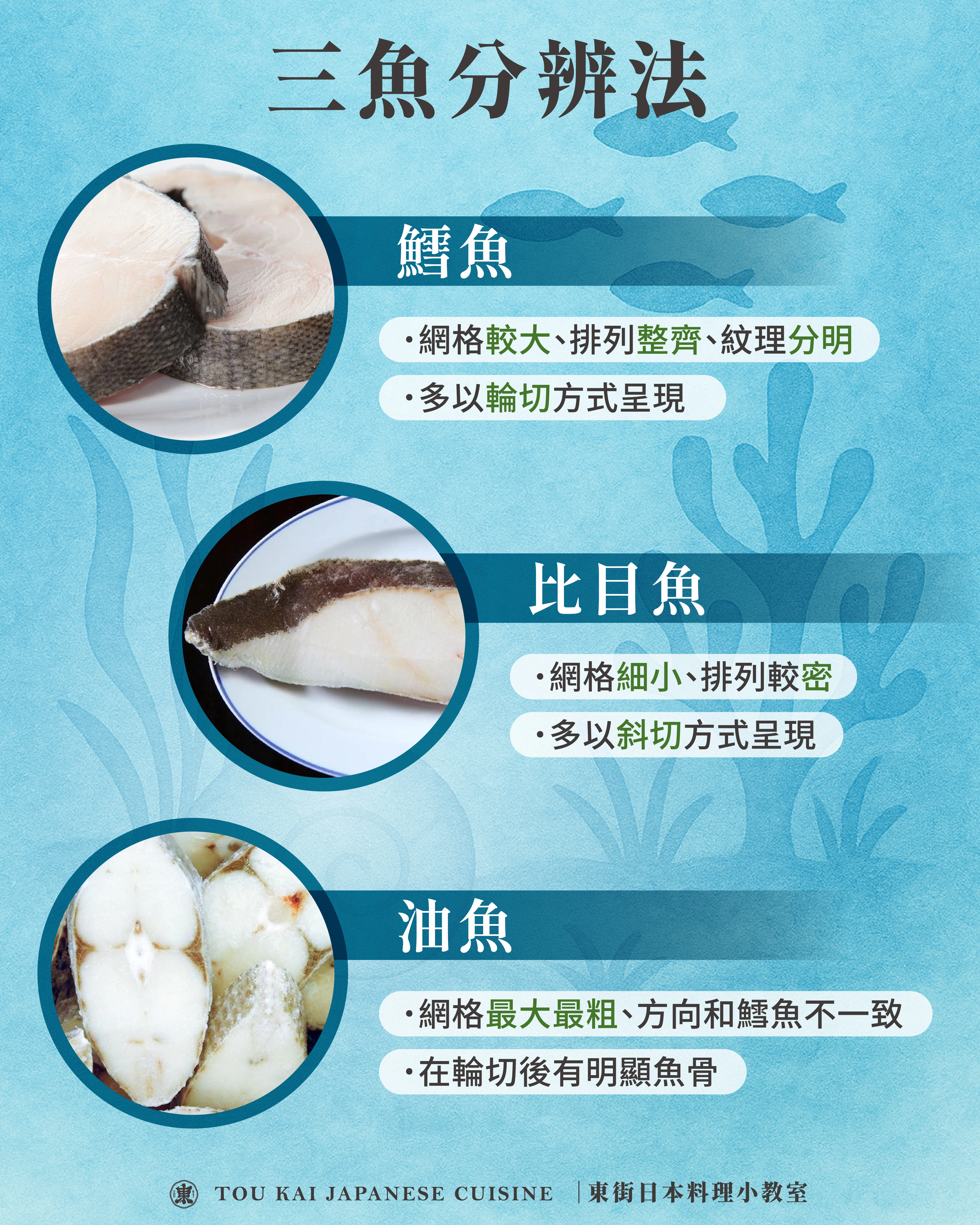 比目魚,大比目魚,扁鱈