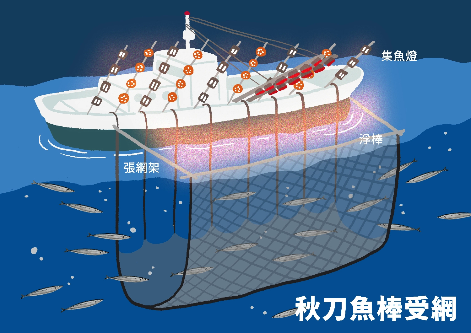 秋刀魚,秋刀魚價格,明太子秋刀魚