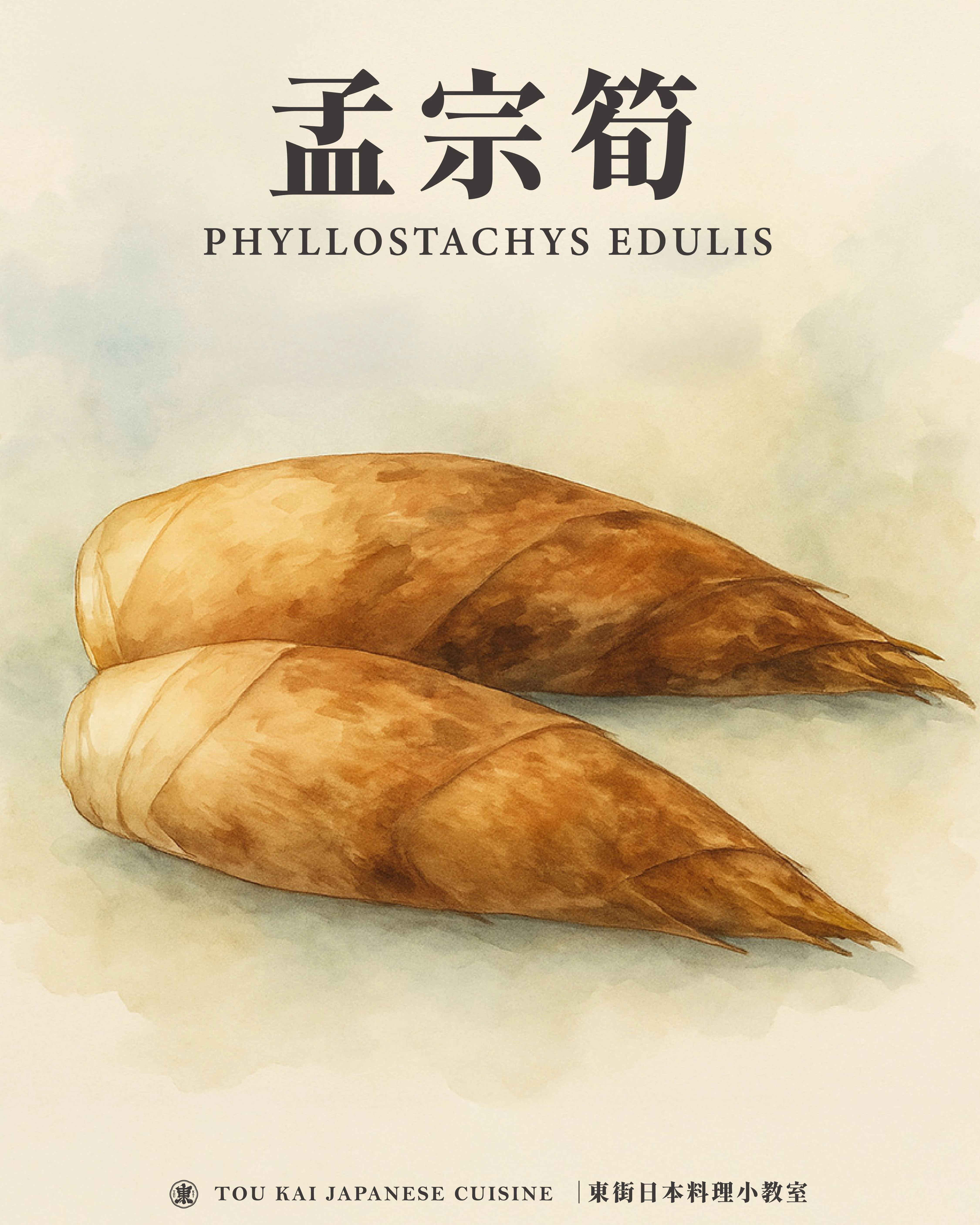 綠竹筍,烏殼綠竹筍,烏殼筍