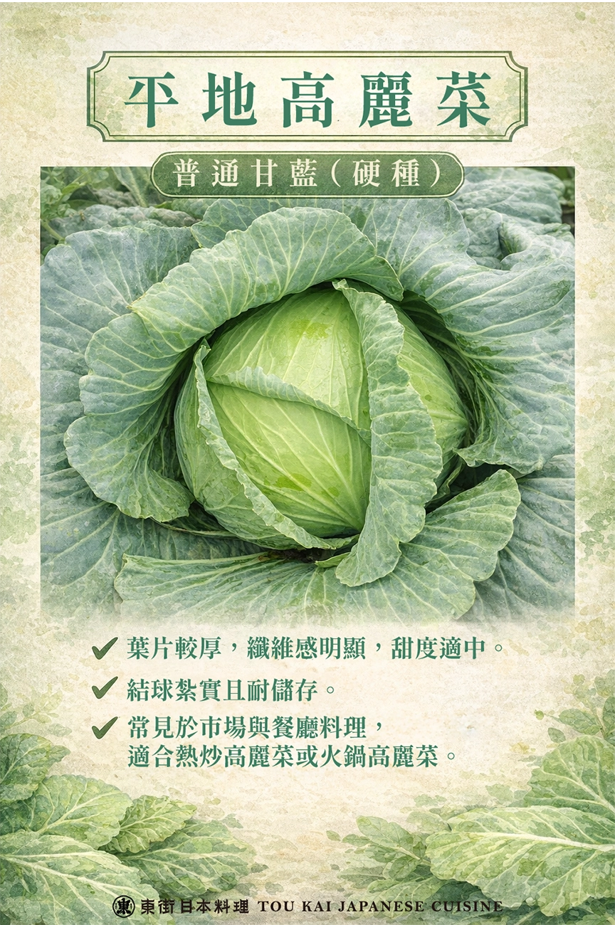 高麗菜,高麗菜乾,炒高麗菜