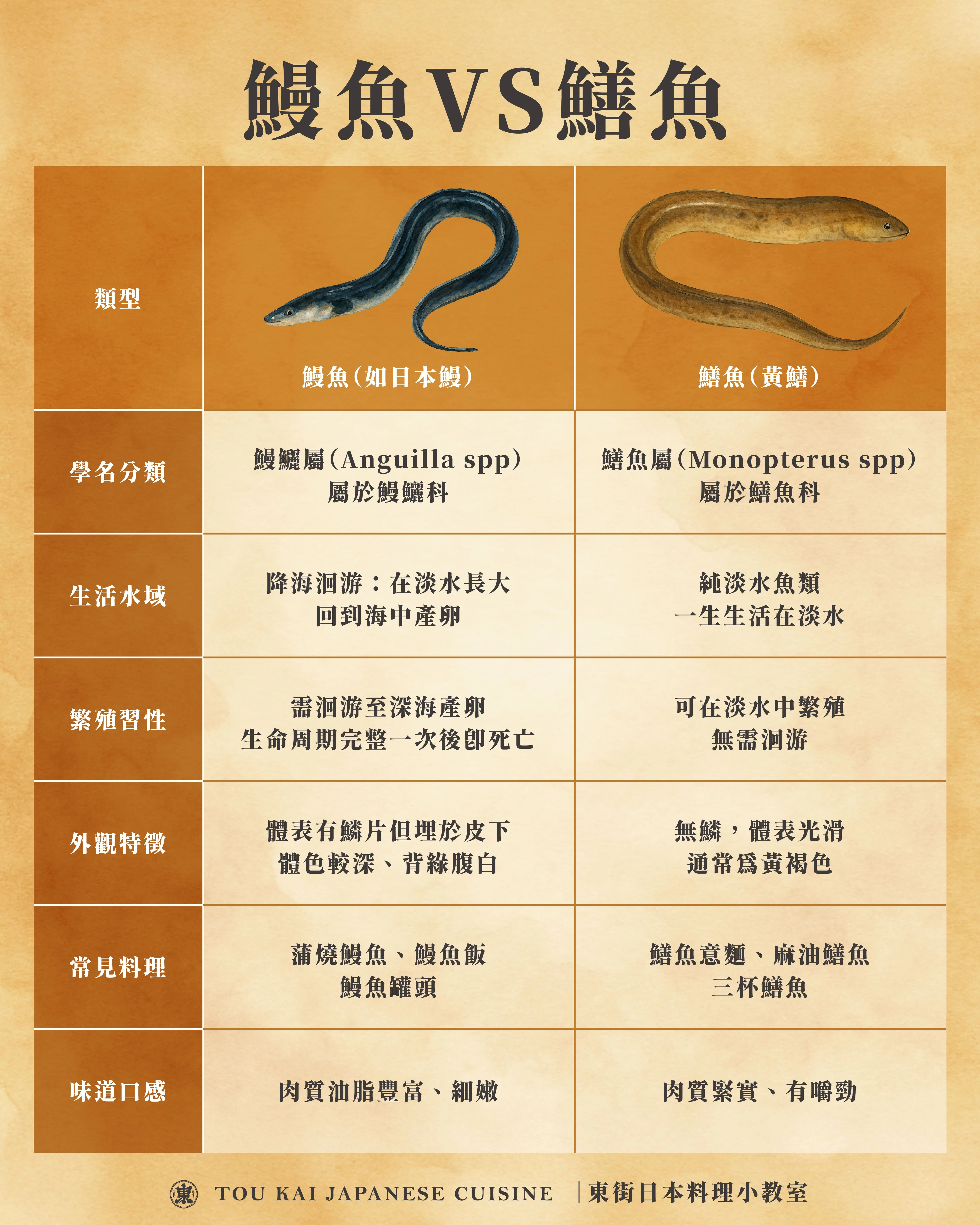 鰻魚,鰻魚罐頭,蒲燒鰻魚