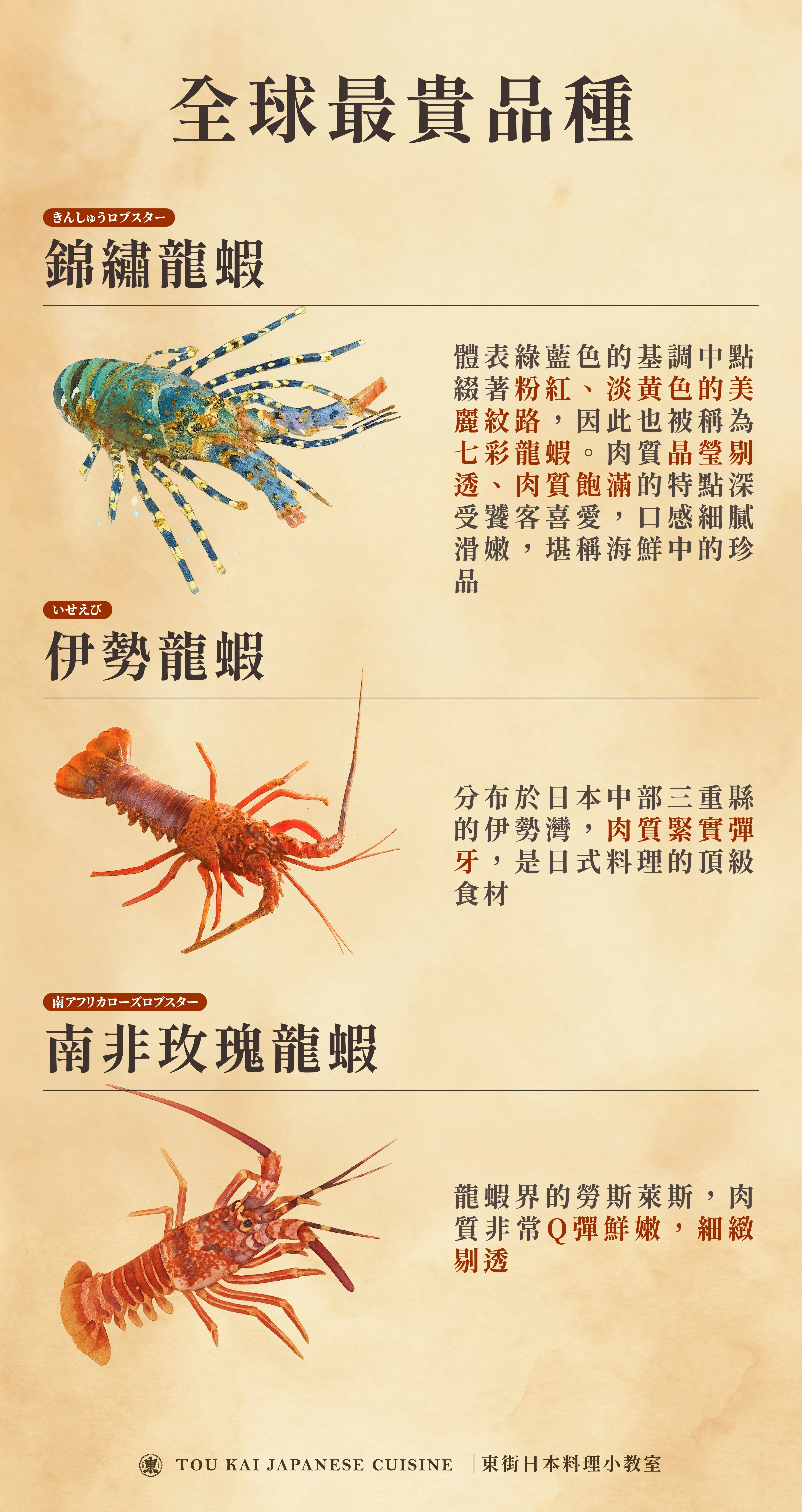 龍蝦,小龍蝦,波士頓龍蝦