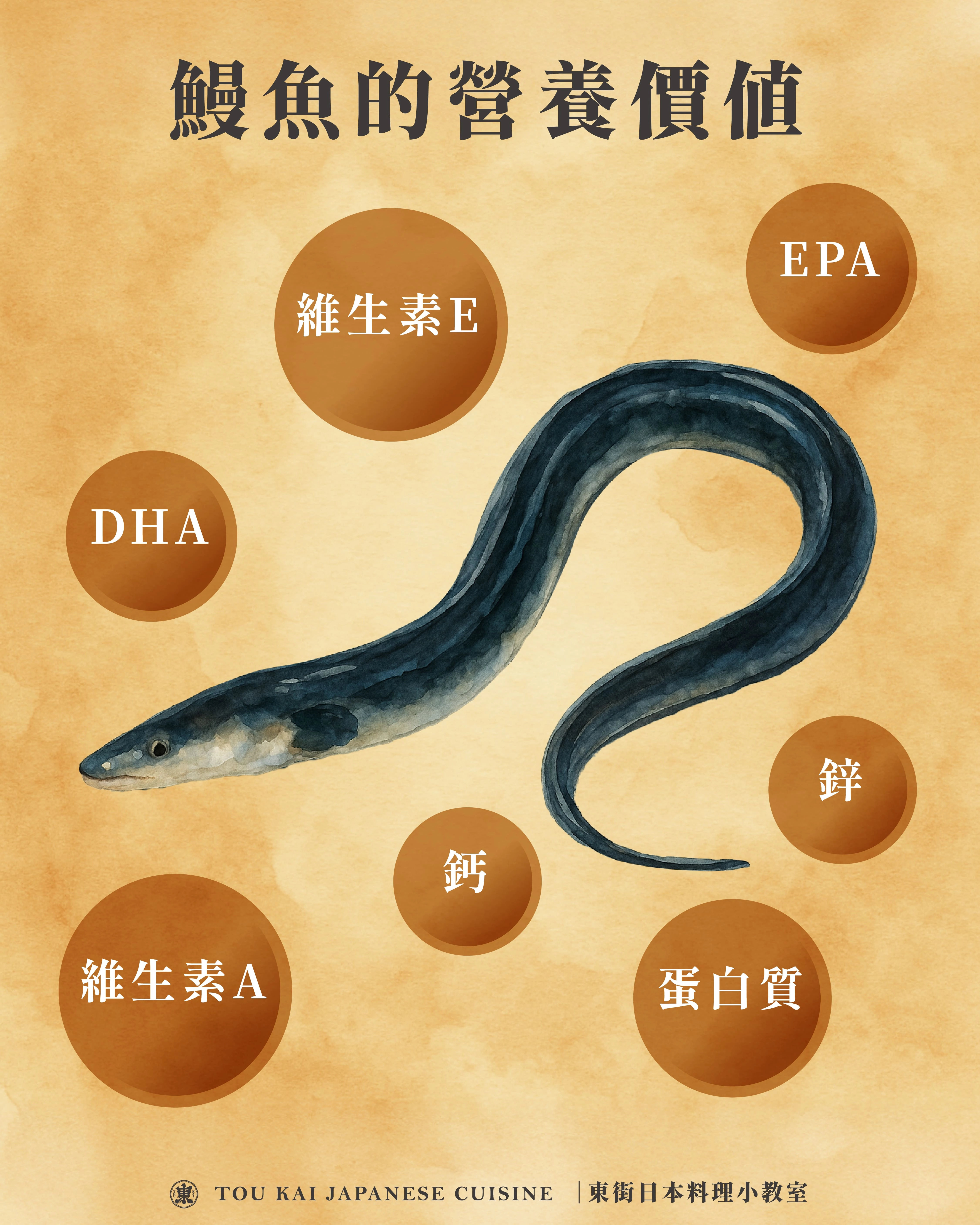 鰻魚,鰻魚罐頭,蒲燒鰻魚