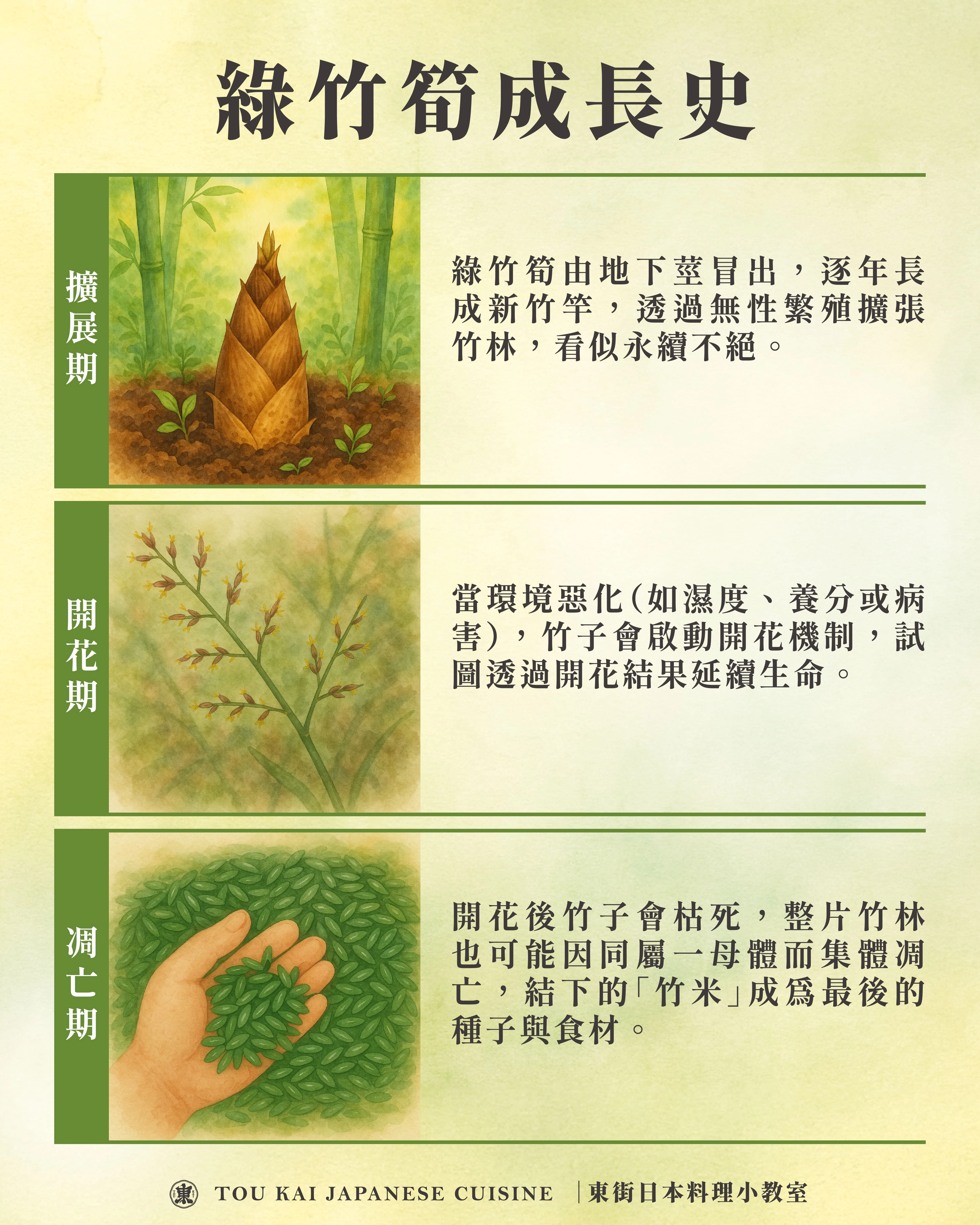綠竹筍,烏殼綠竹筍,烏殼筍