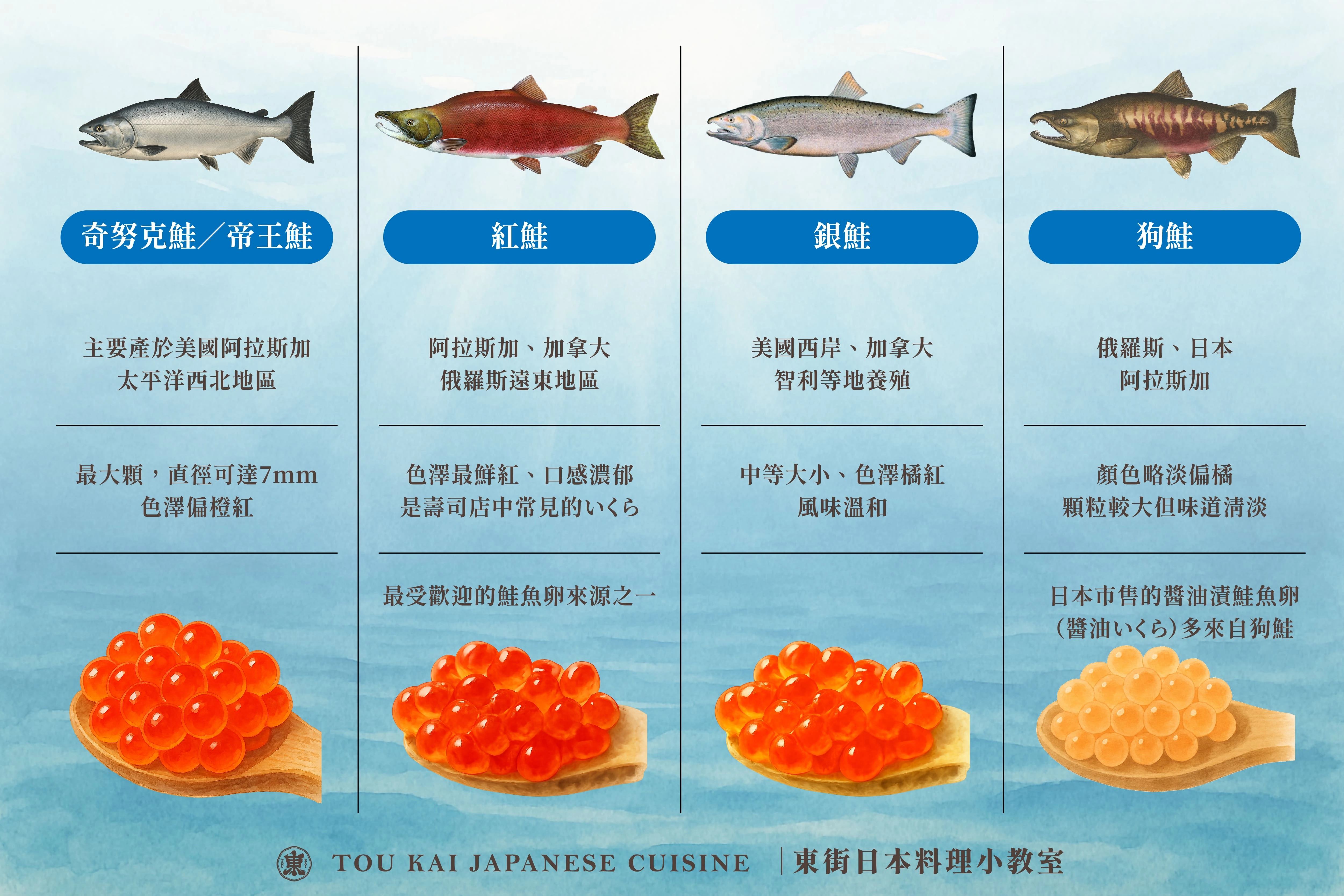 鮭魚,鮭魚菲力,鮭魚卵