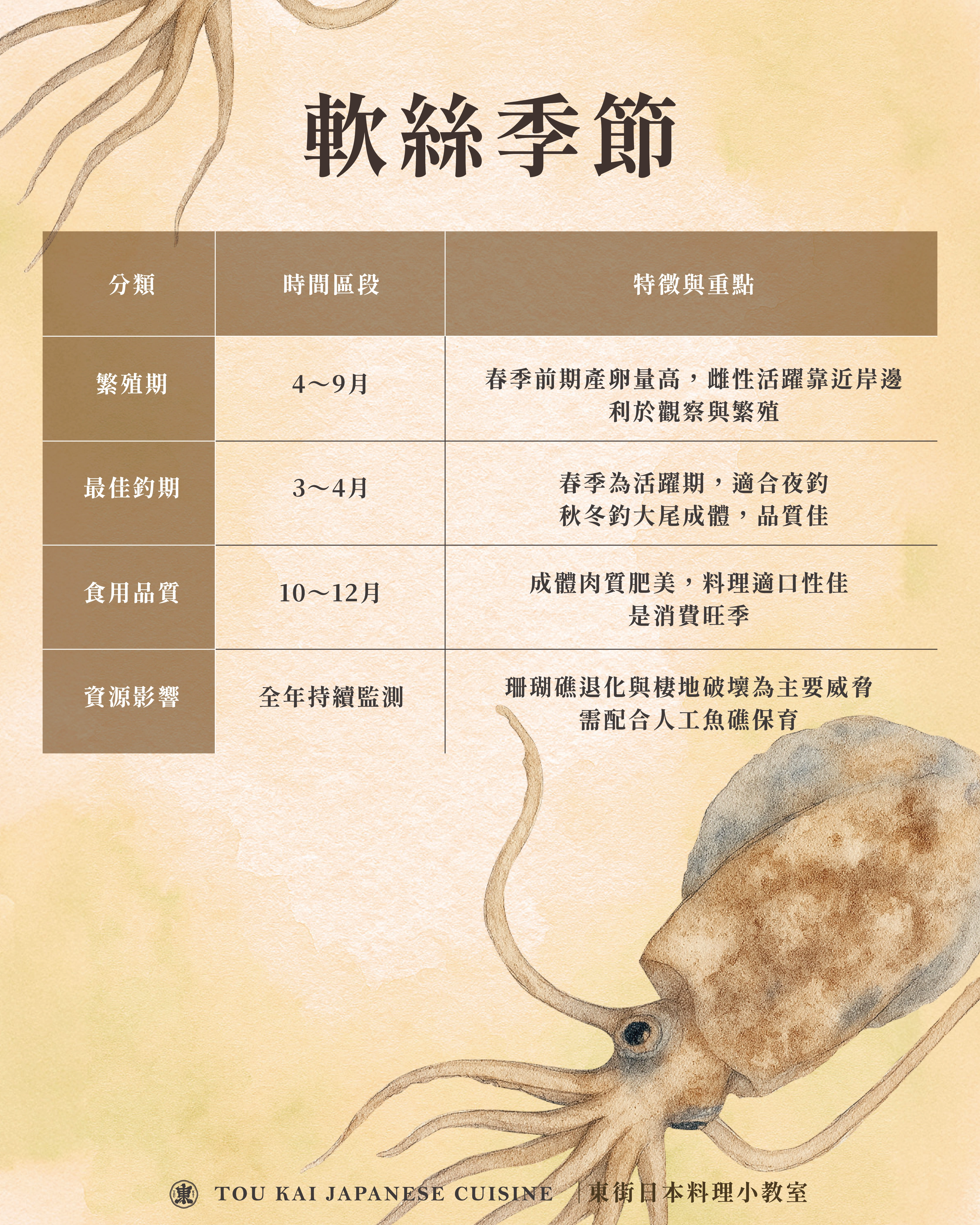 軟絲料理,軟絲,軟絲花枝透抽