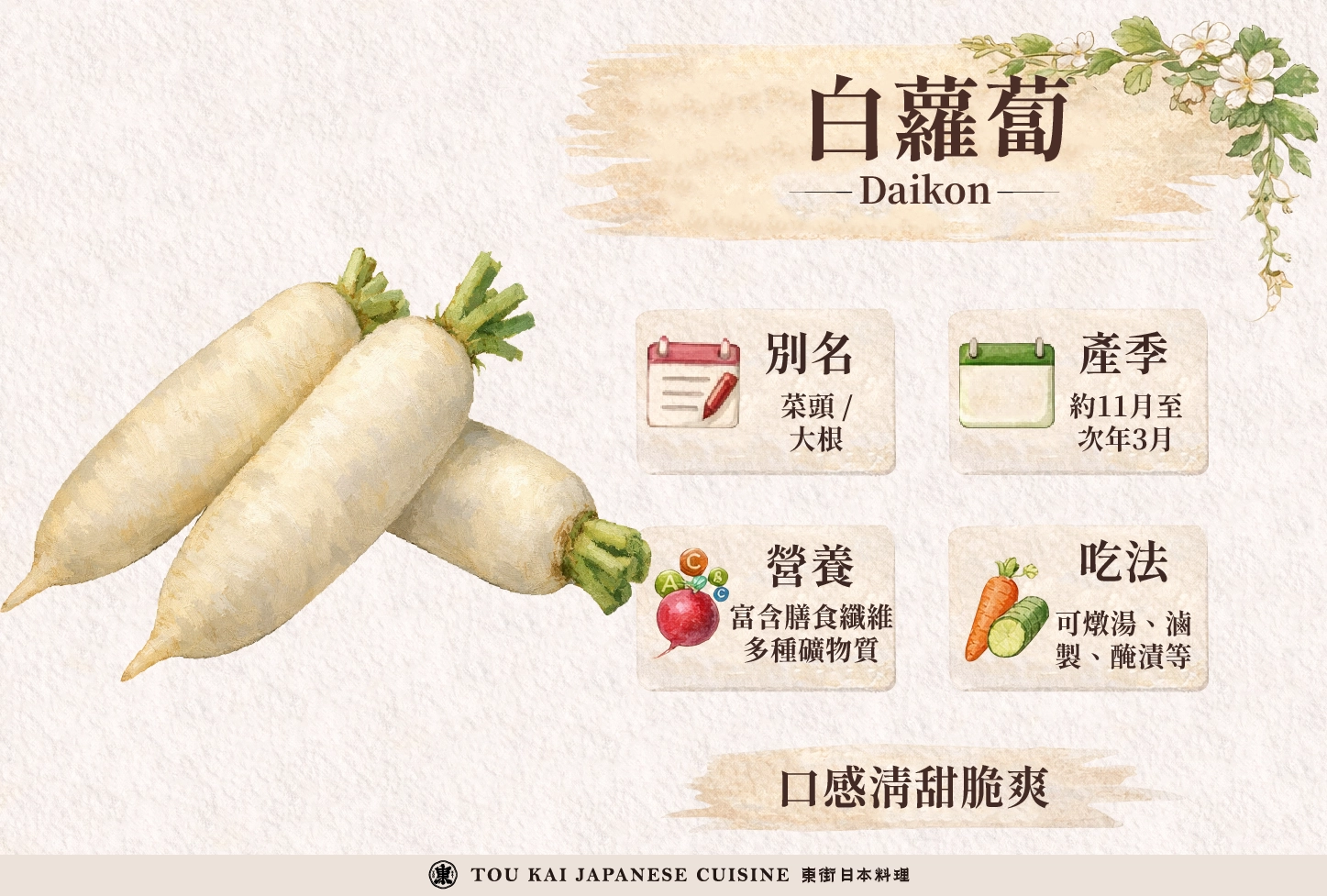 蘿蔔,醃蘿蔔,蘿蔔嬰