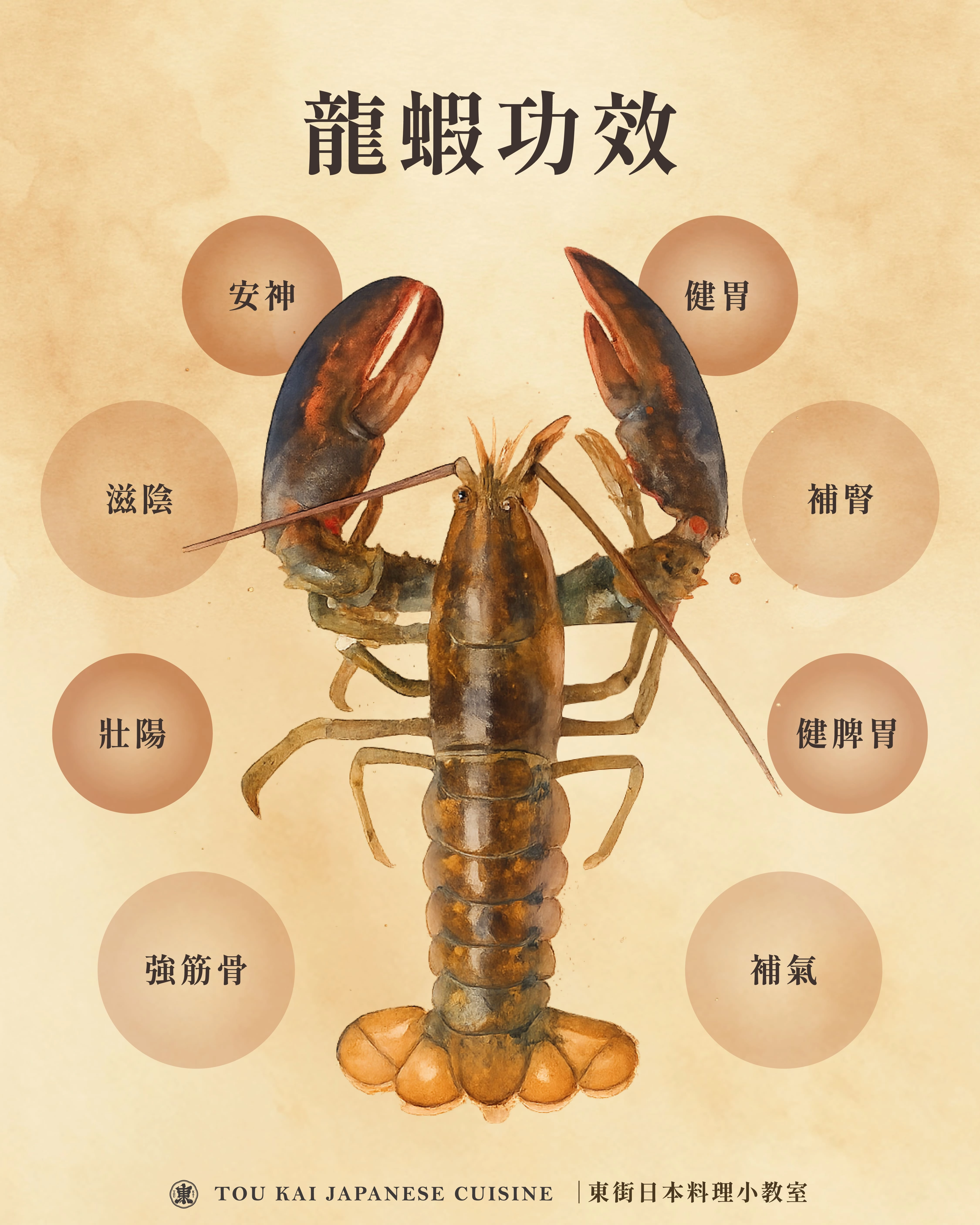 龍蝦,小龍蝦,波士頓龍蝦