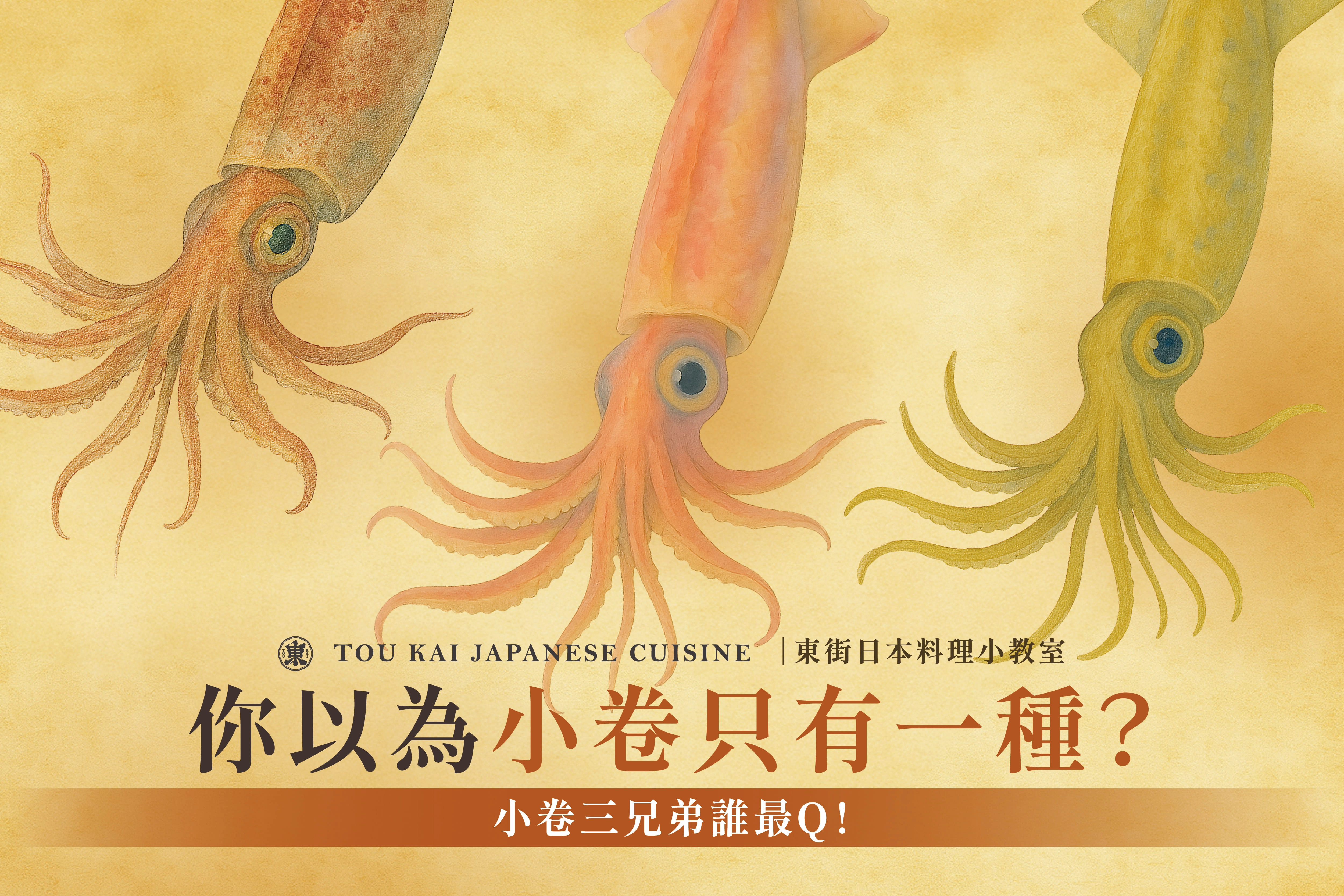 小卷片,小卷,小捲