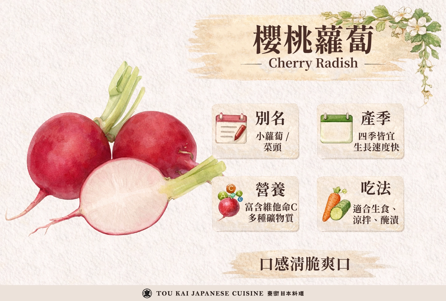 蘿蔔,醃蘿蔔,蘿蔔嬰