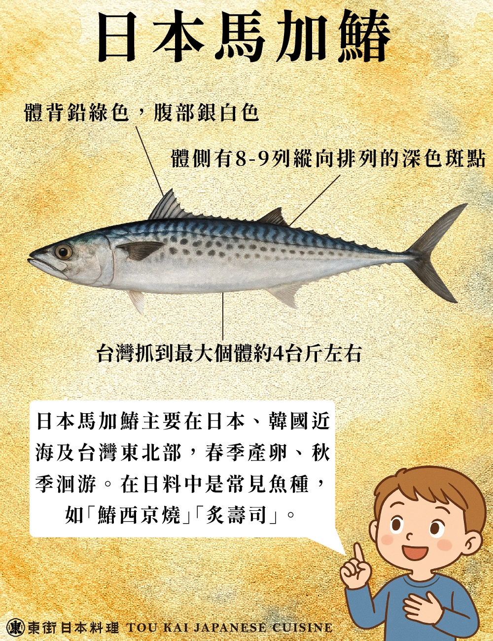 土魠、土魠魚、假土魠魚