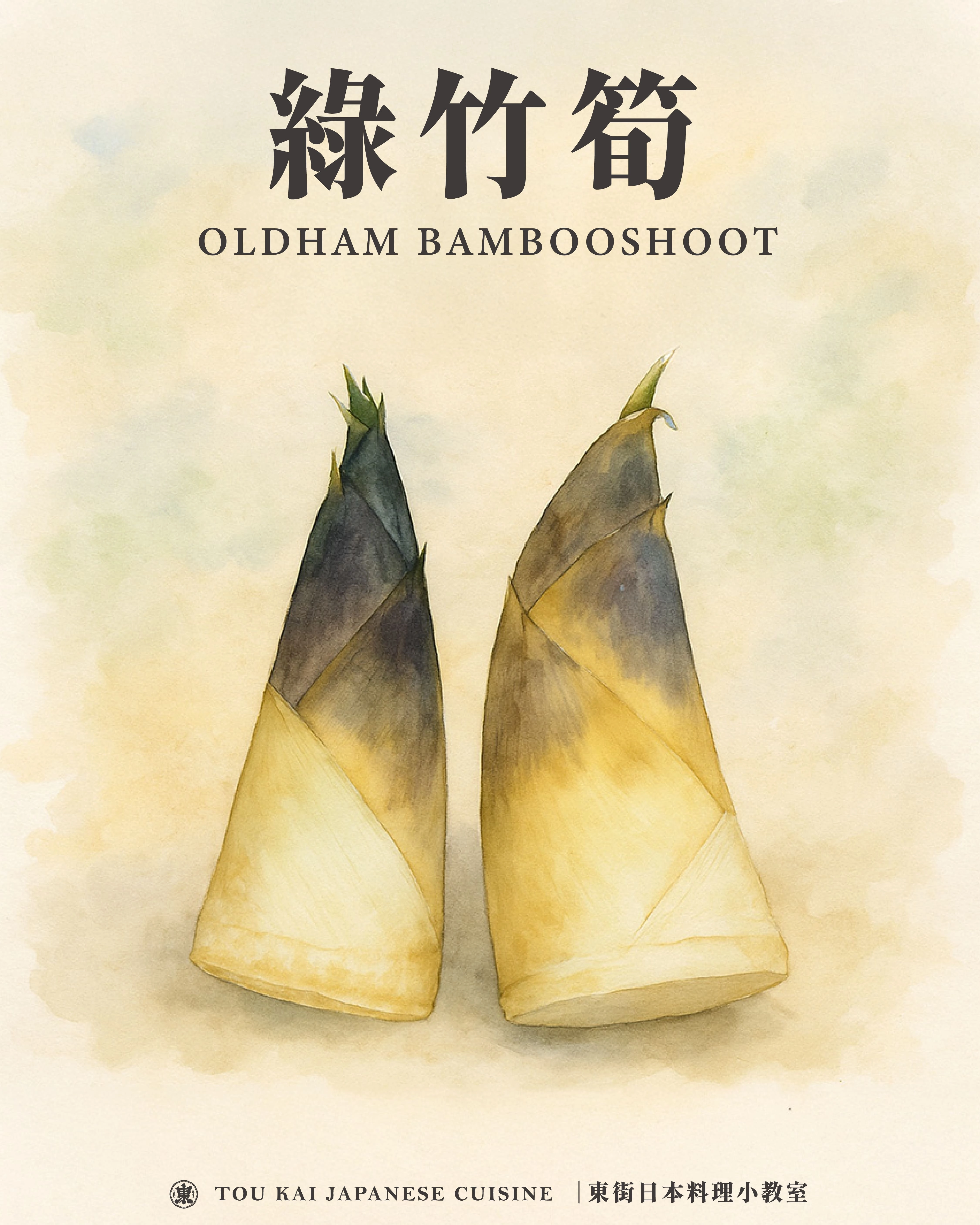 綠竹筍,烏殼綠竹筍,烏殼筍