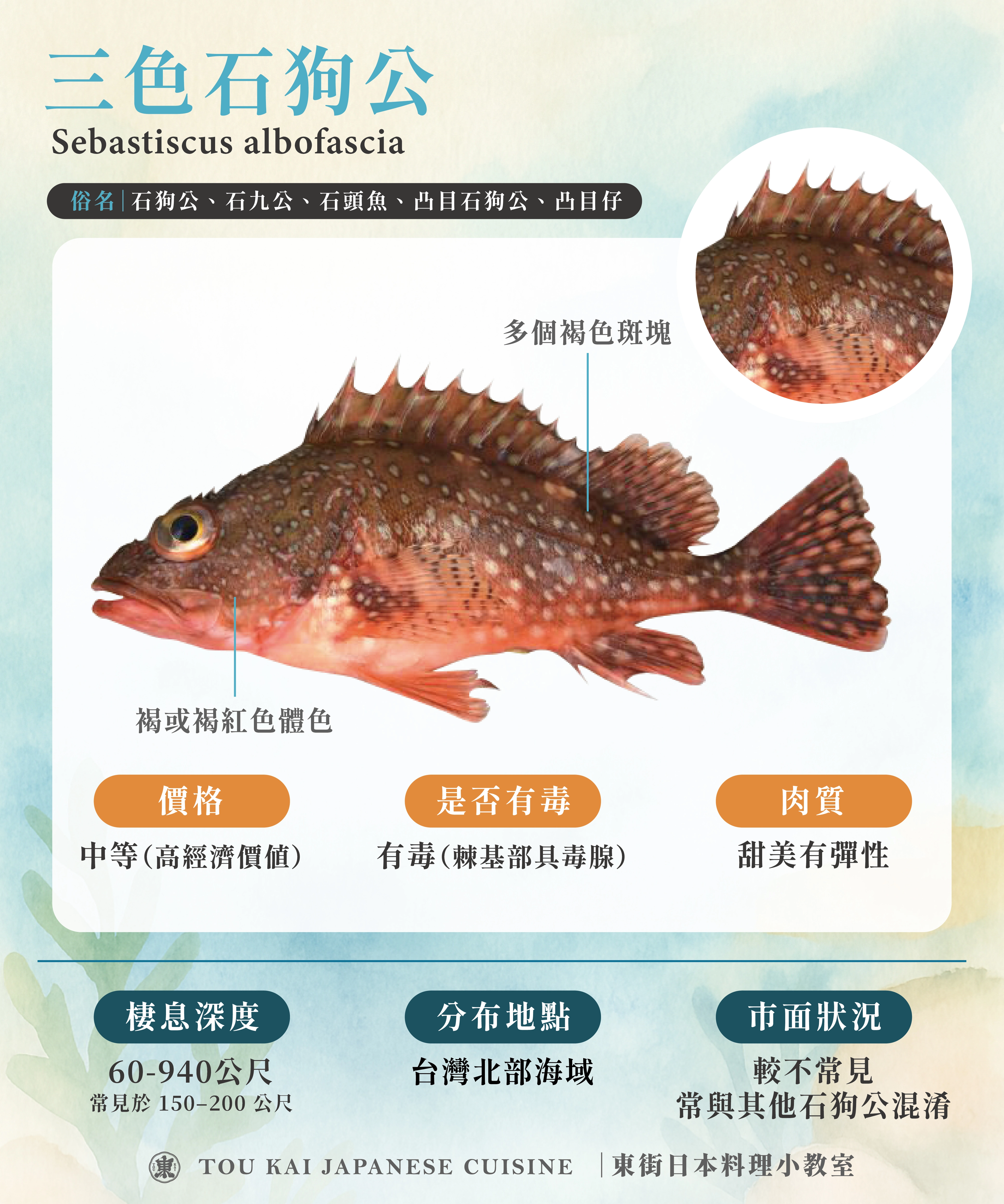 三色石狗公介紹,東街日本料理,石狗公,石狗公魚