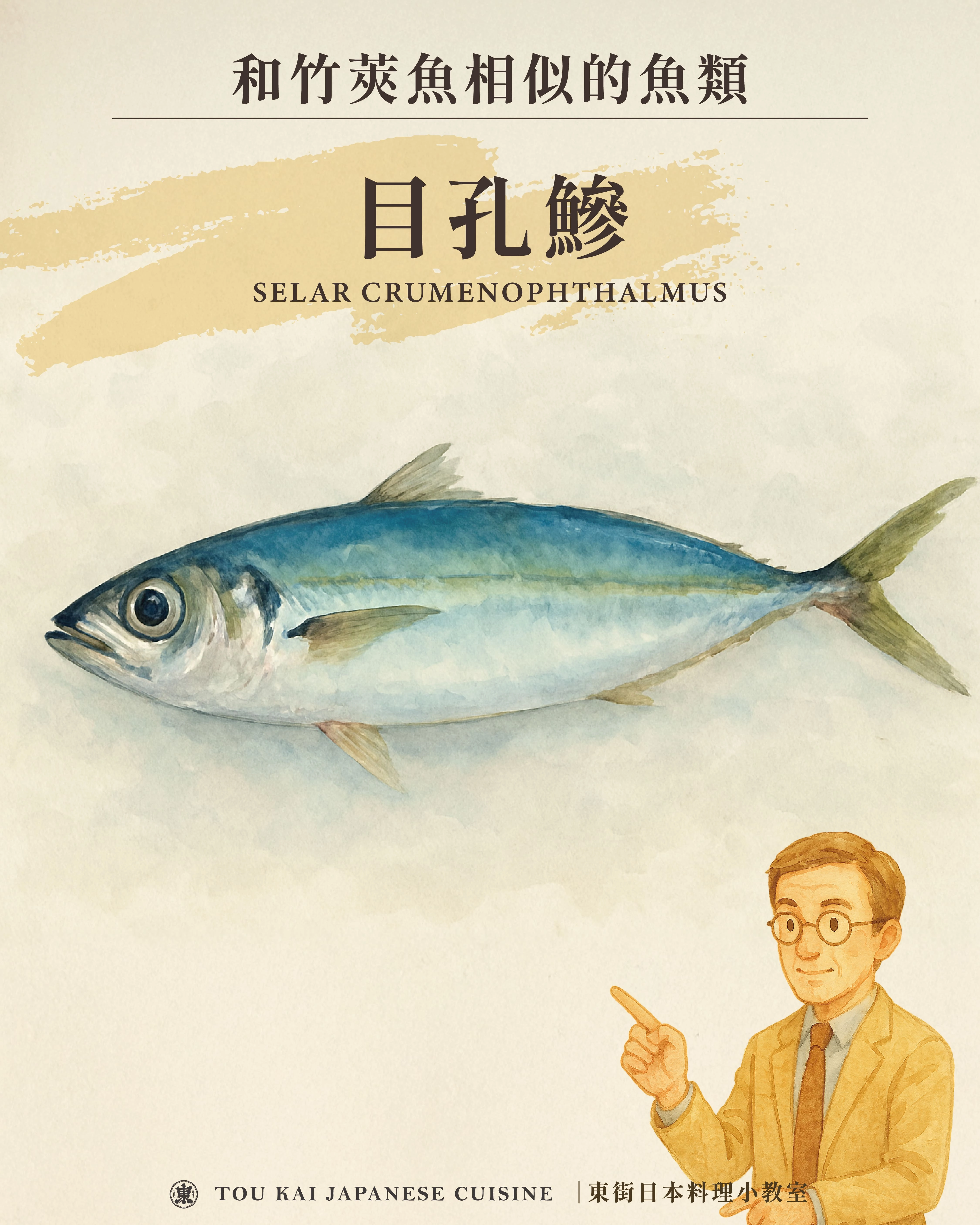 竹筴魚,竹莢魚,竹莢魚一夜干