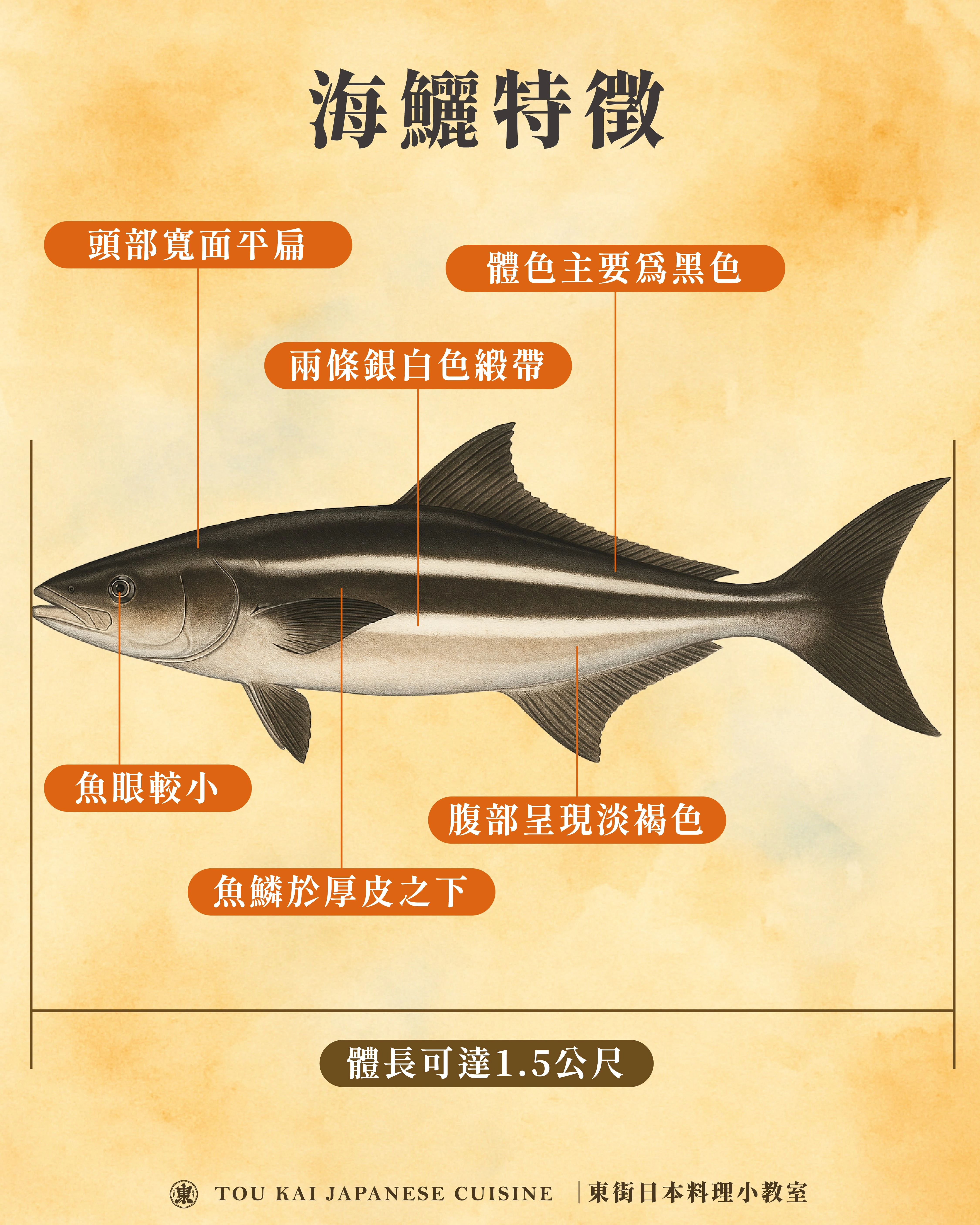 海鱺,海鱺魚,海鱺生魚片