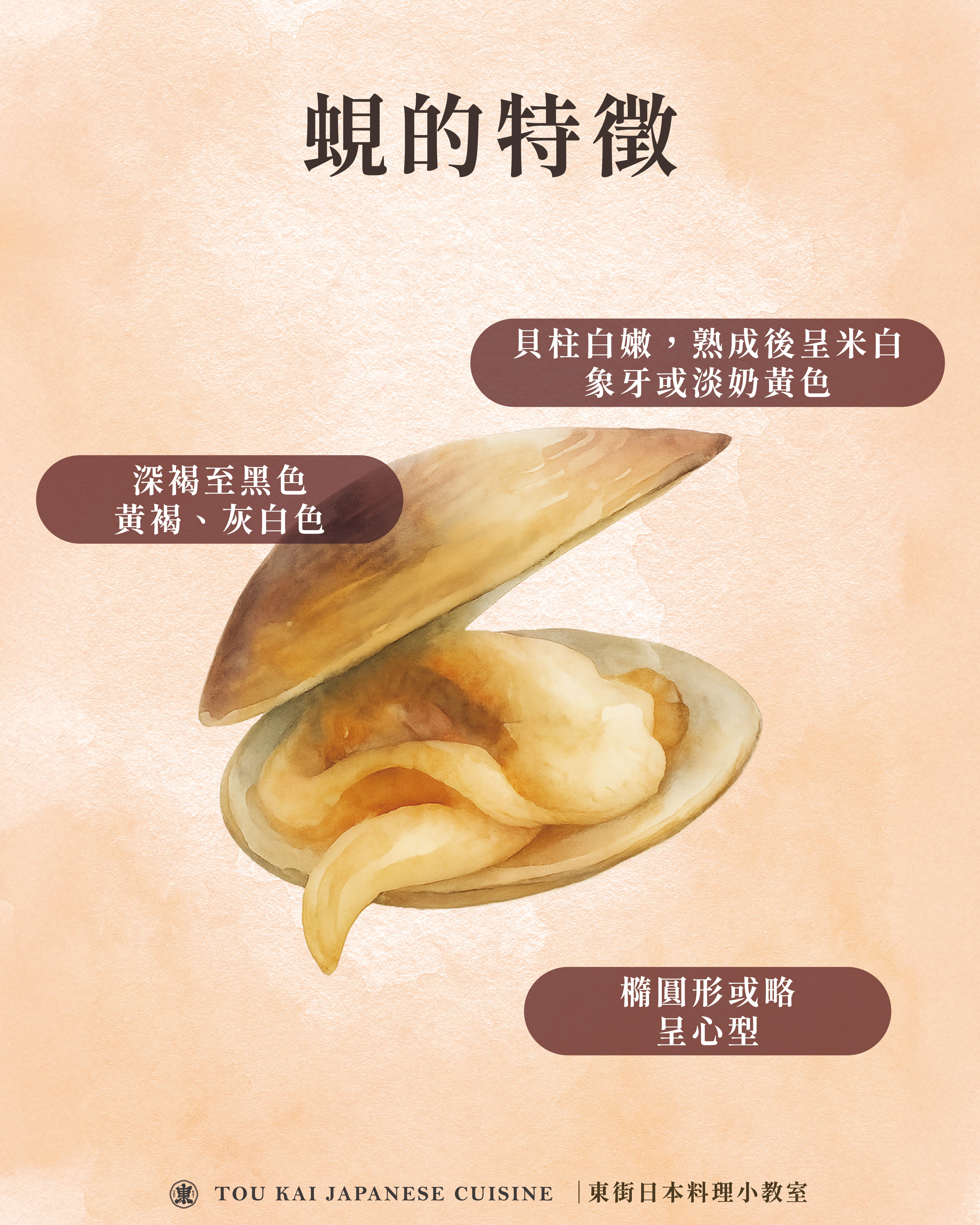 蜆,蜆精,蜆精功效