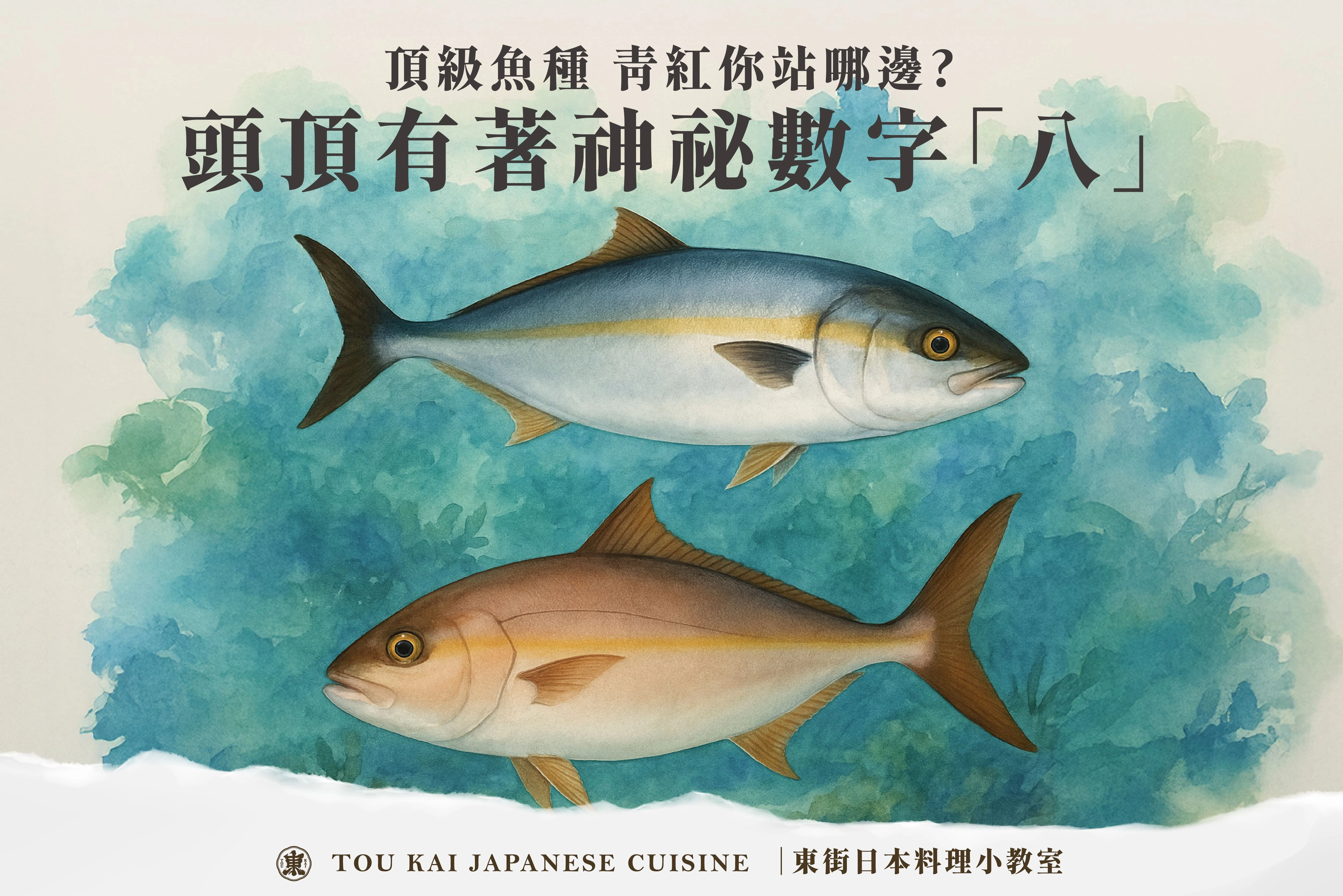 紅甘,紅甘魚,紅甘生魚片