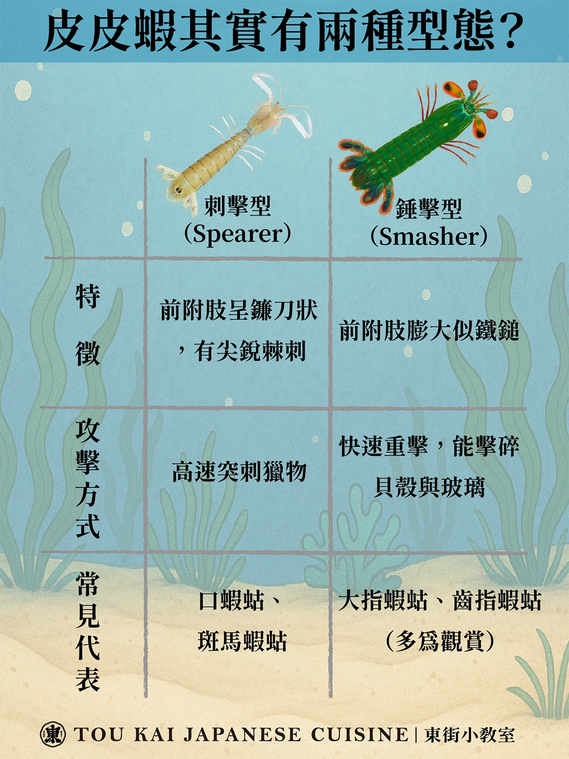 皮皮蝦,蝦蛄,琵琶蝦