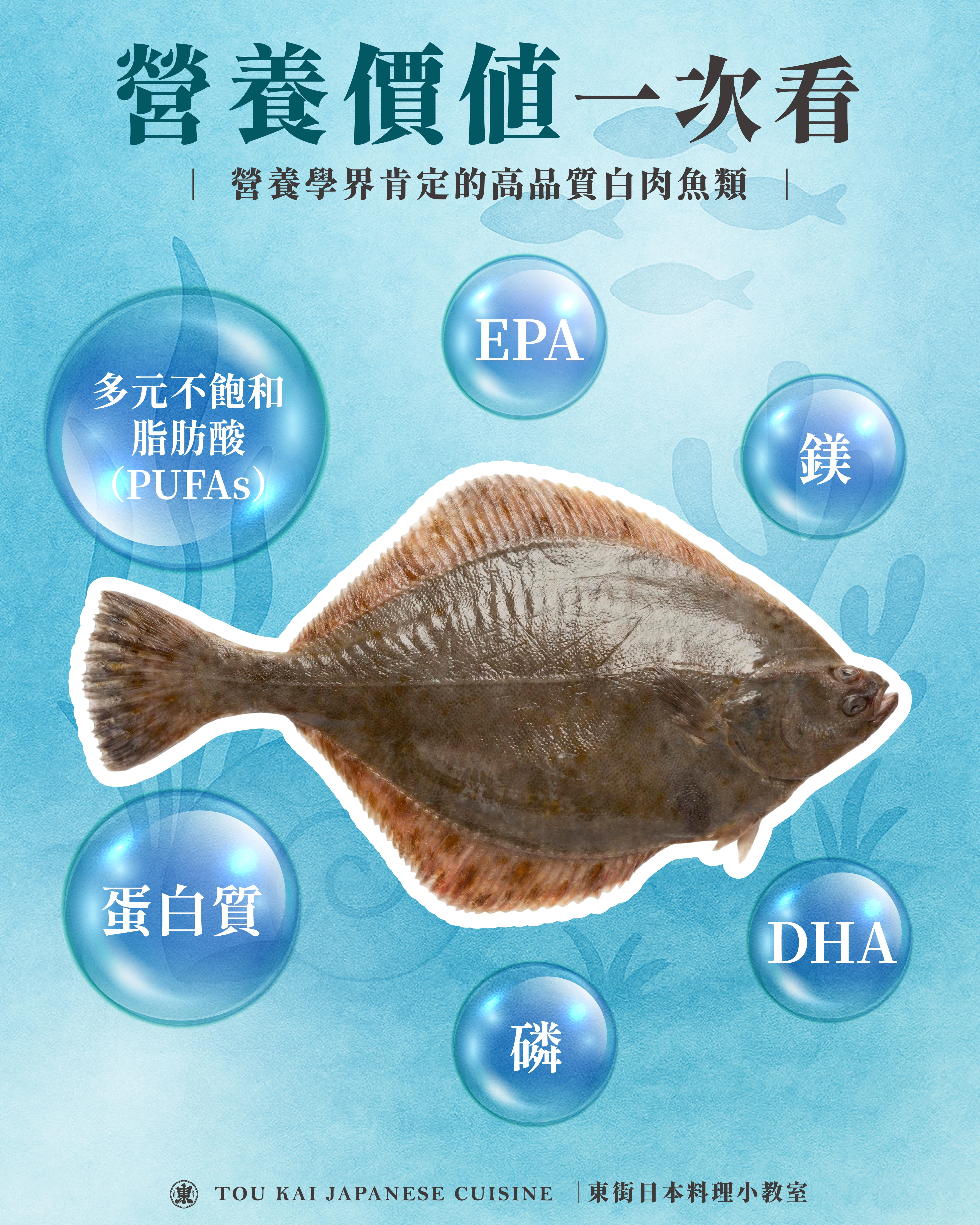 比目魚,大比目魚,扁鱈