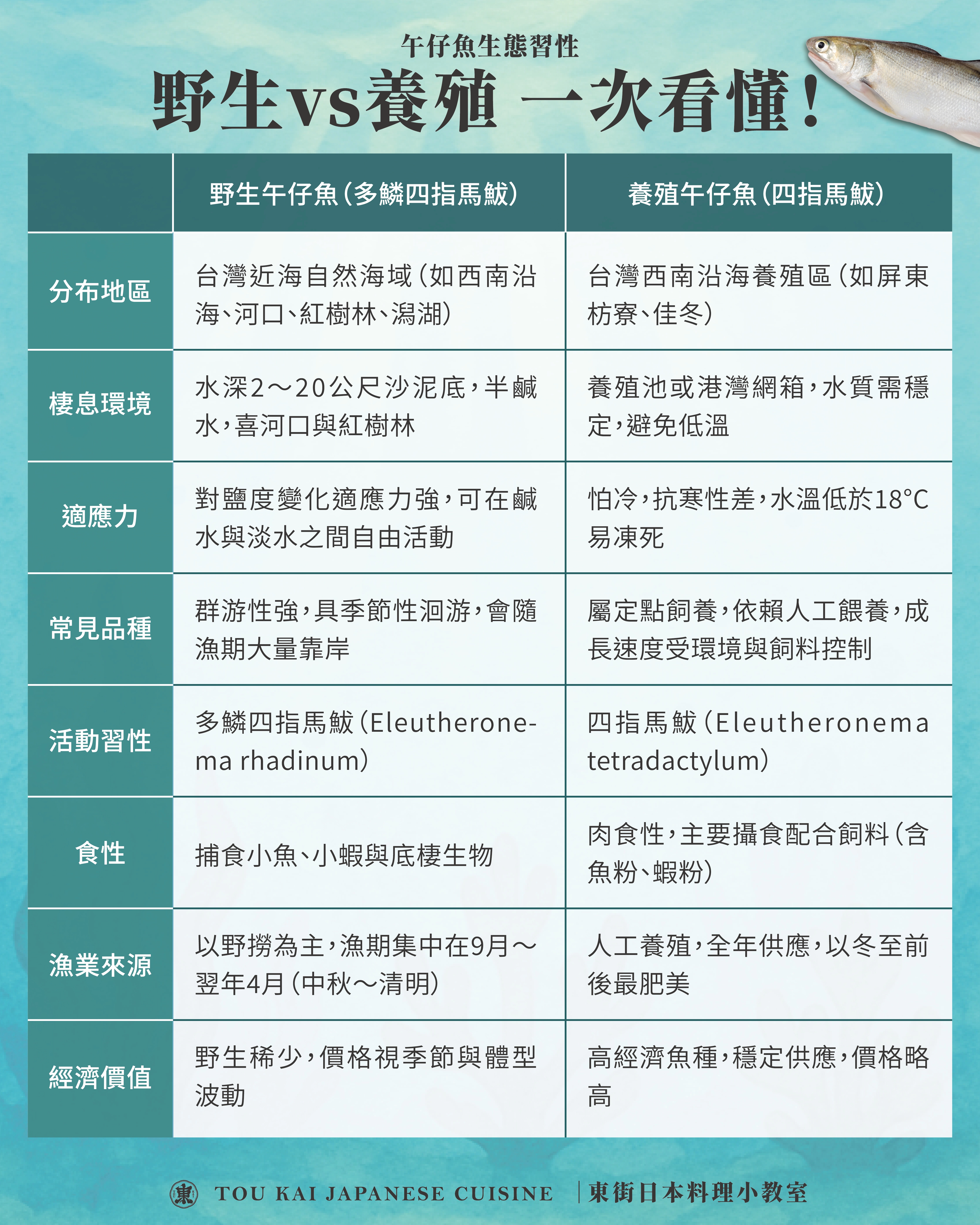 午仔魚 ,東街日本料理,午仔魚介紹,分辨午仔魚,養殖午仔魚,野生午仔魚,午仔魚生態習性