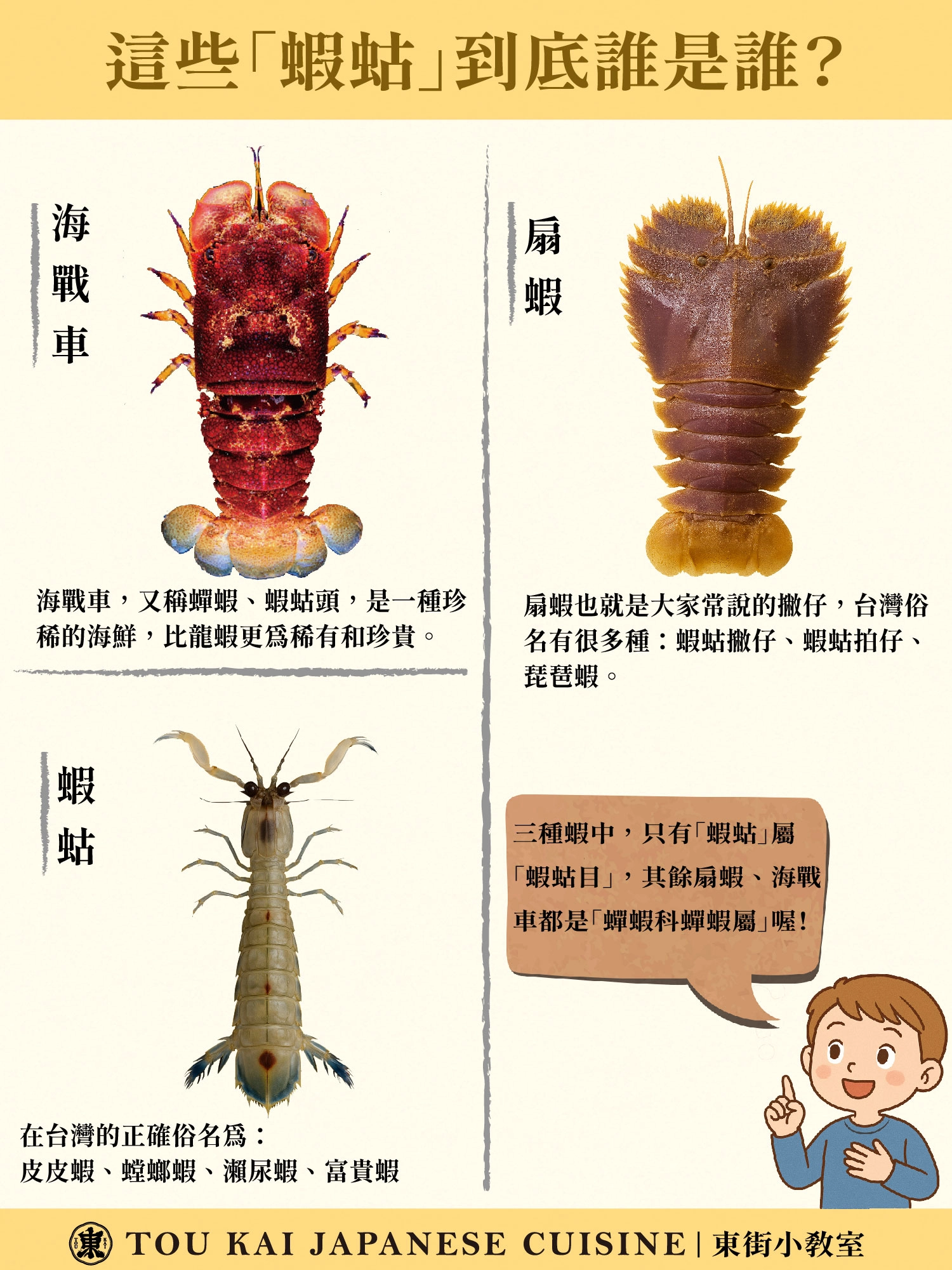 蝦蛄,蝦蛄撇仔,蝦姑頭