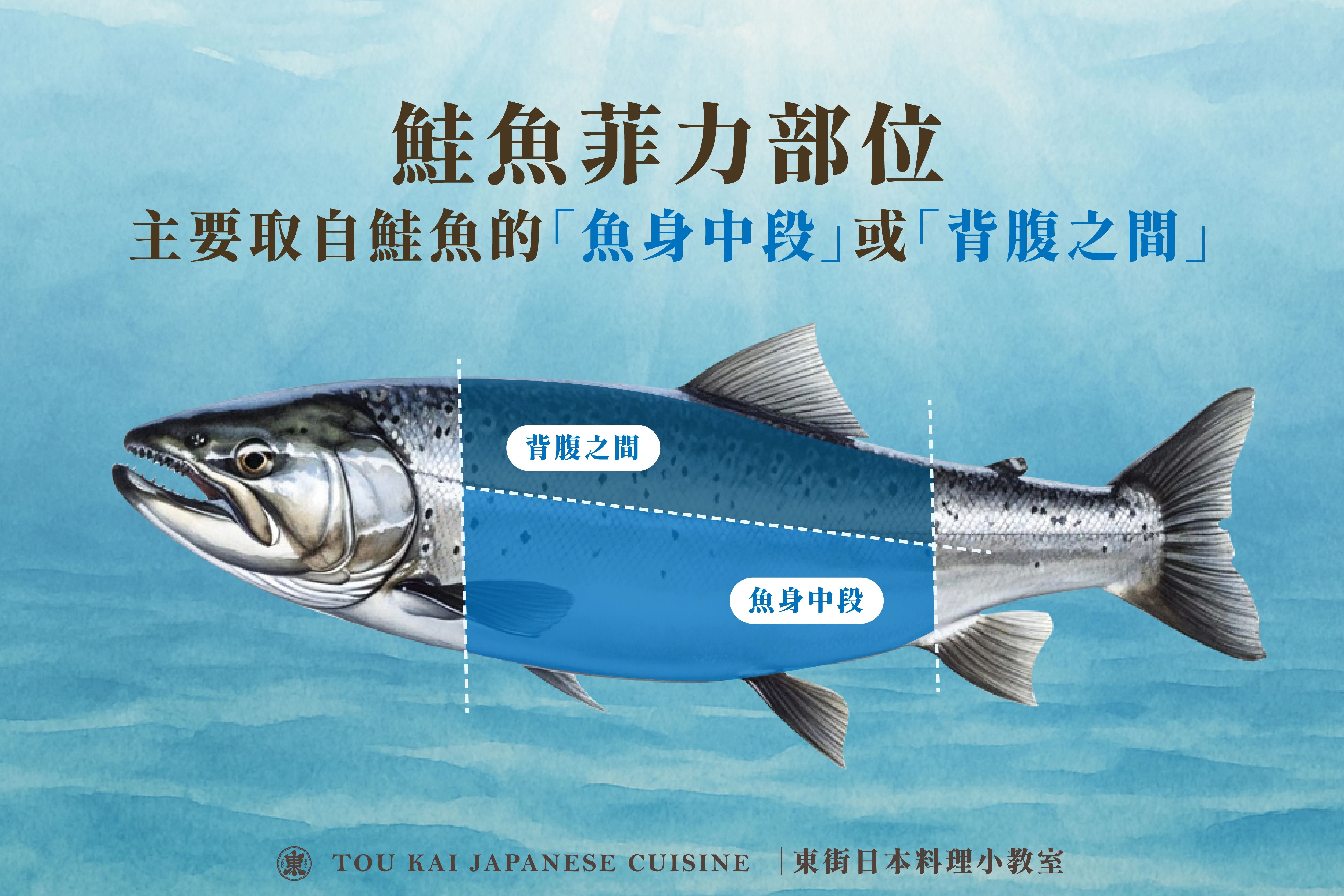 鮭魚,鮭魚菲力,鮭魚卵