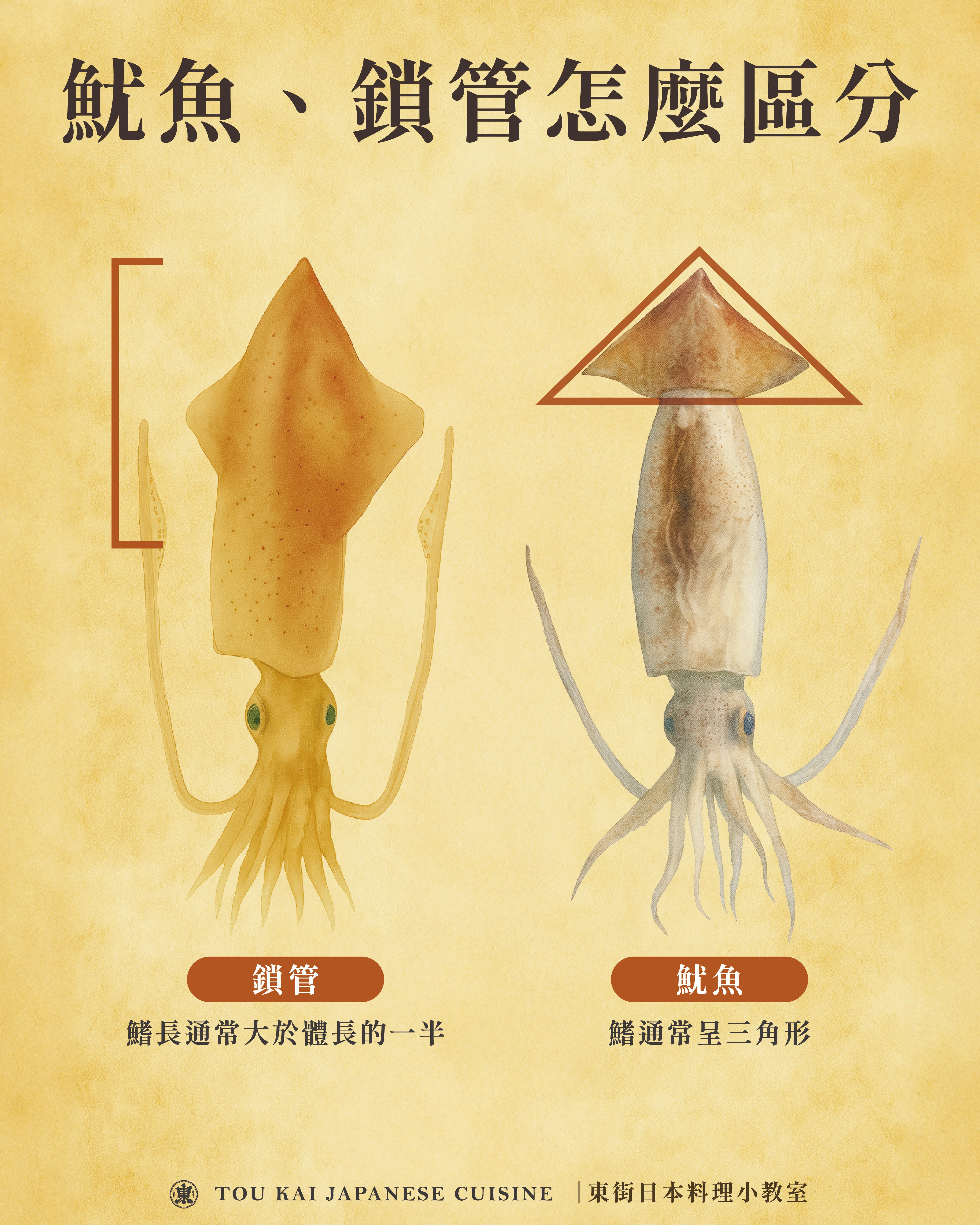小卷片,小卷,小捲