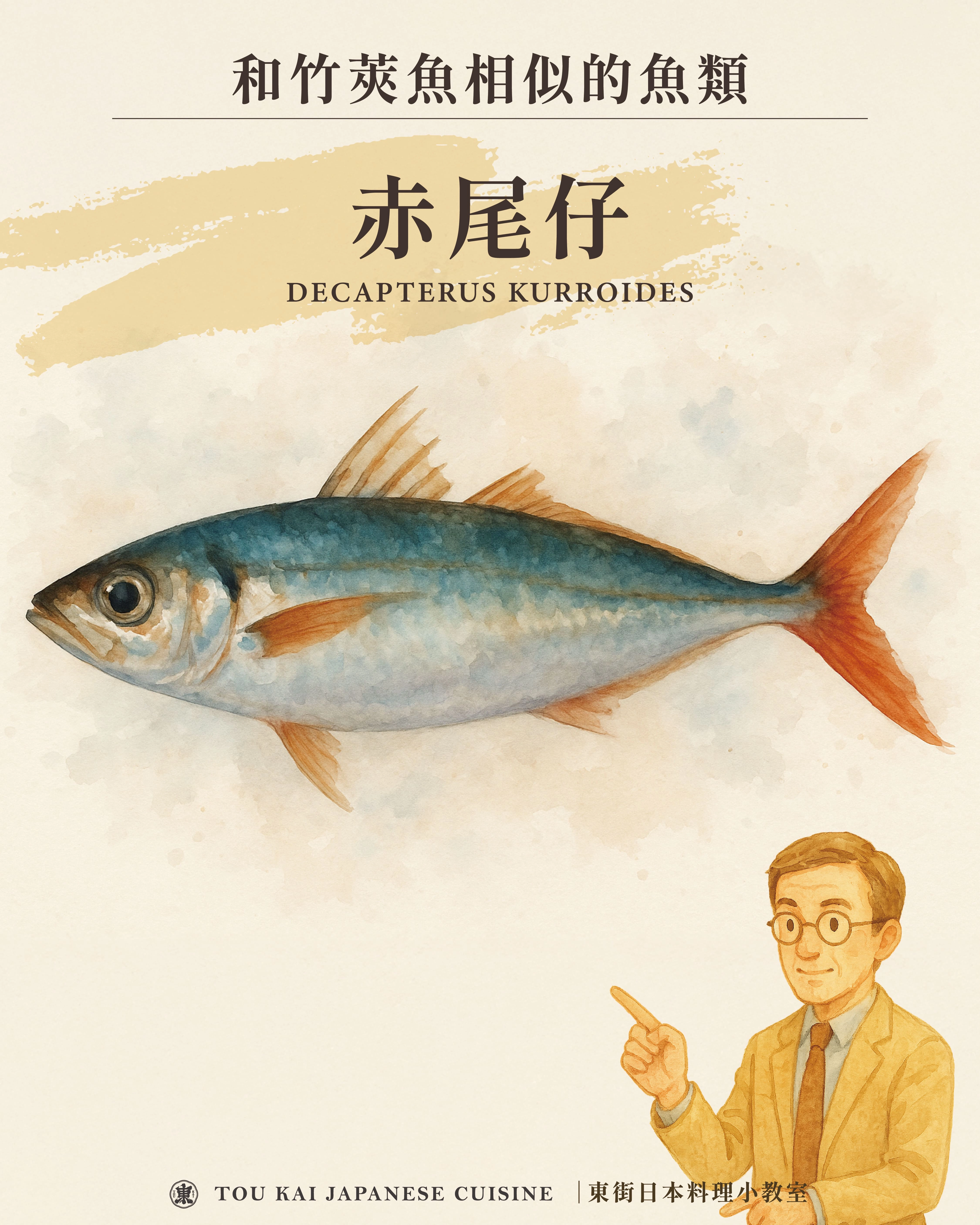 竹筴魚,竹莢魚,竹莢魚一夜干