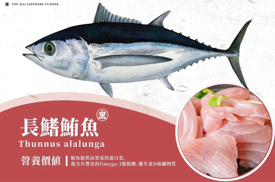 長鰭鮪魚,鮪魚生魚片,鮪魚刺生