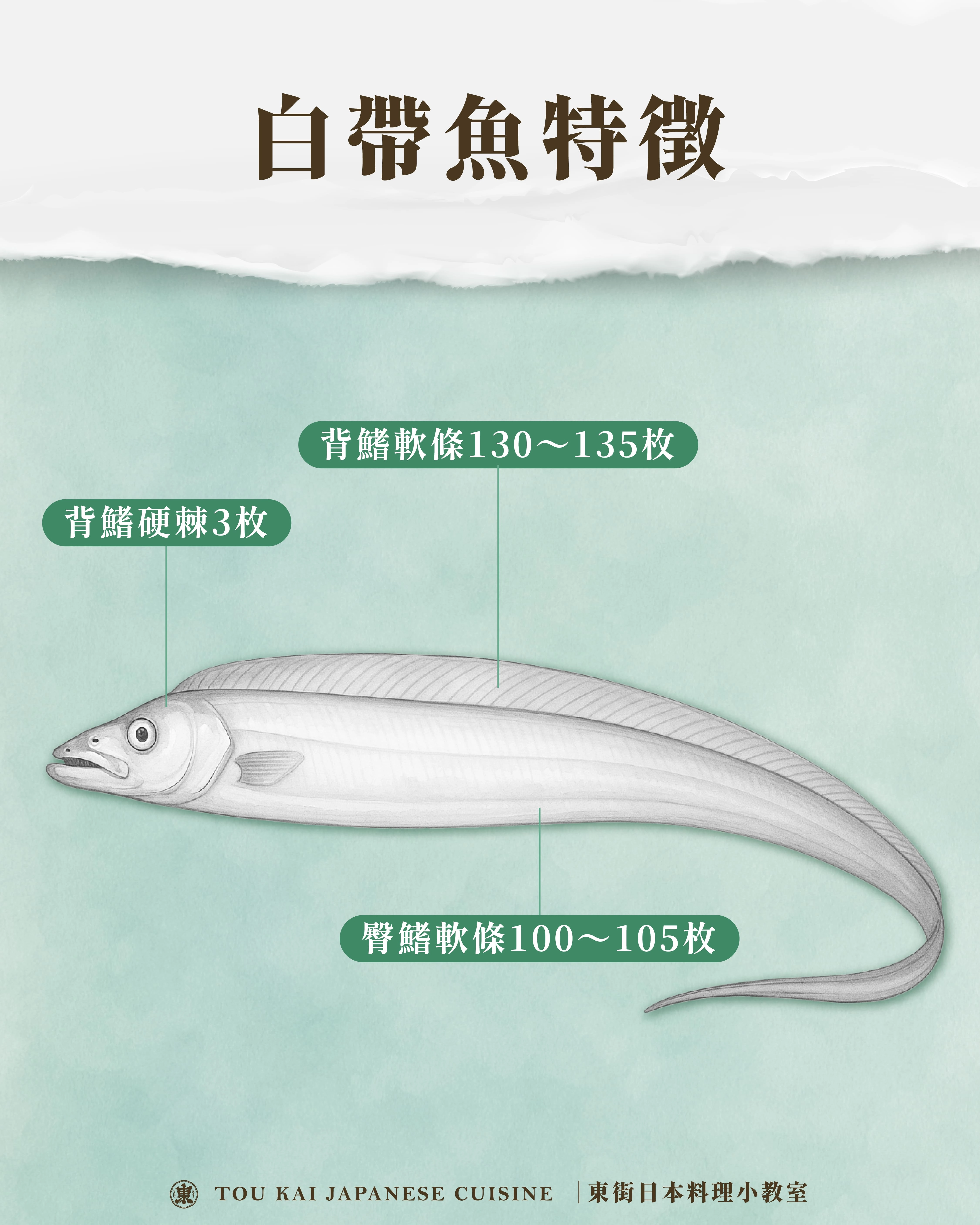 白帶魚,白帶魚捲,白帶魚卷