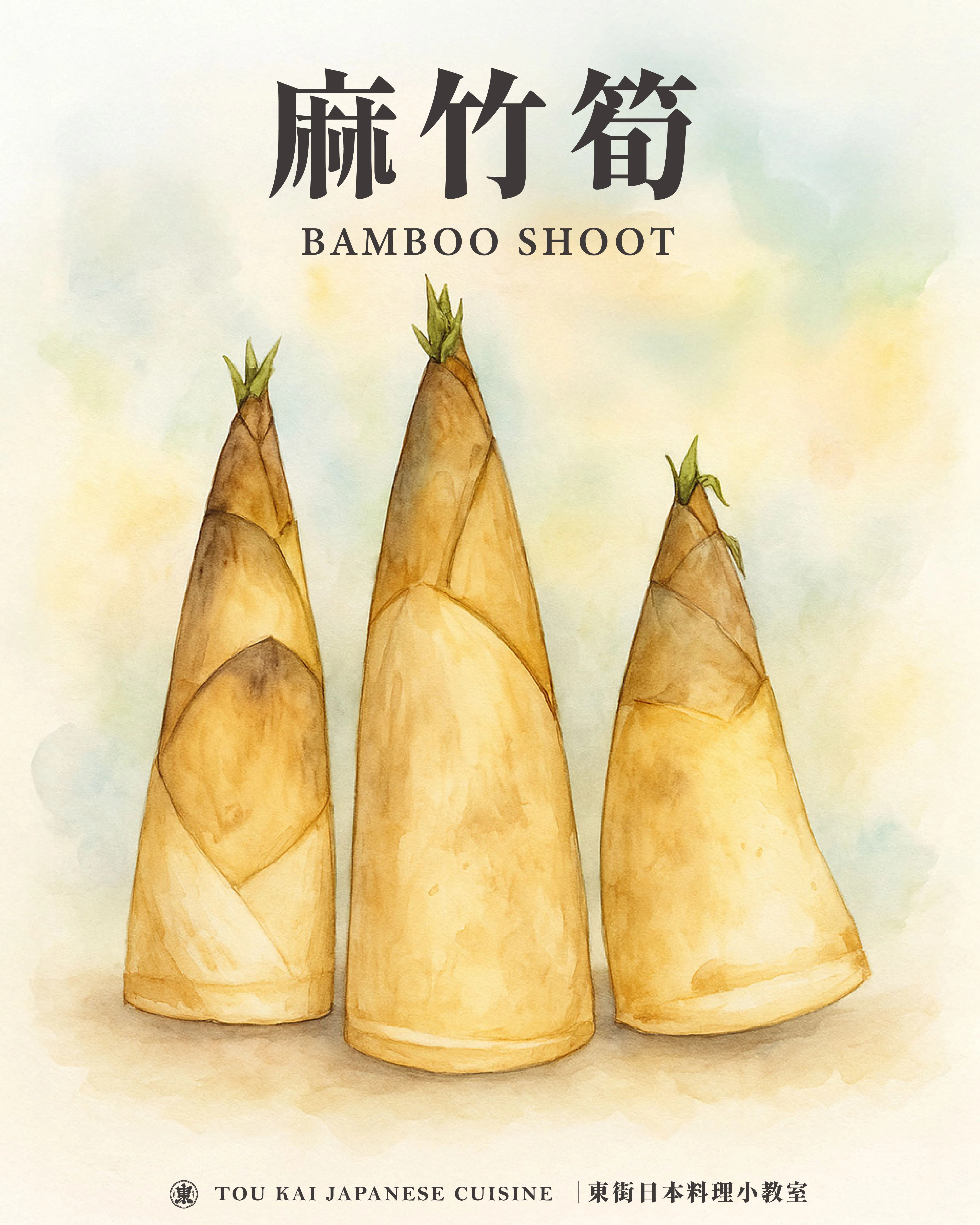 綠竹筍,烏殼綠竹筍,烏殼筍