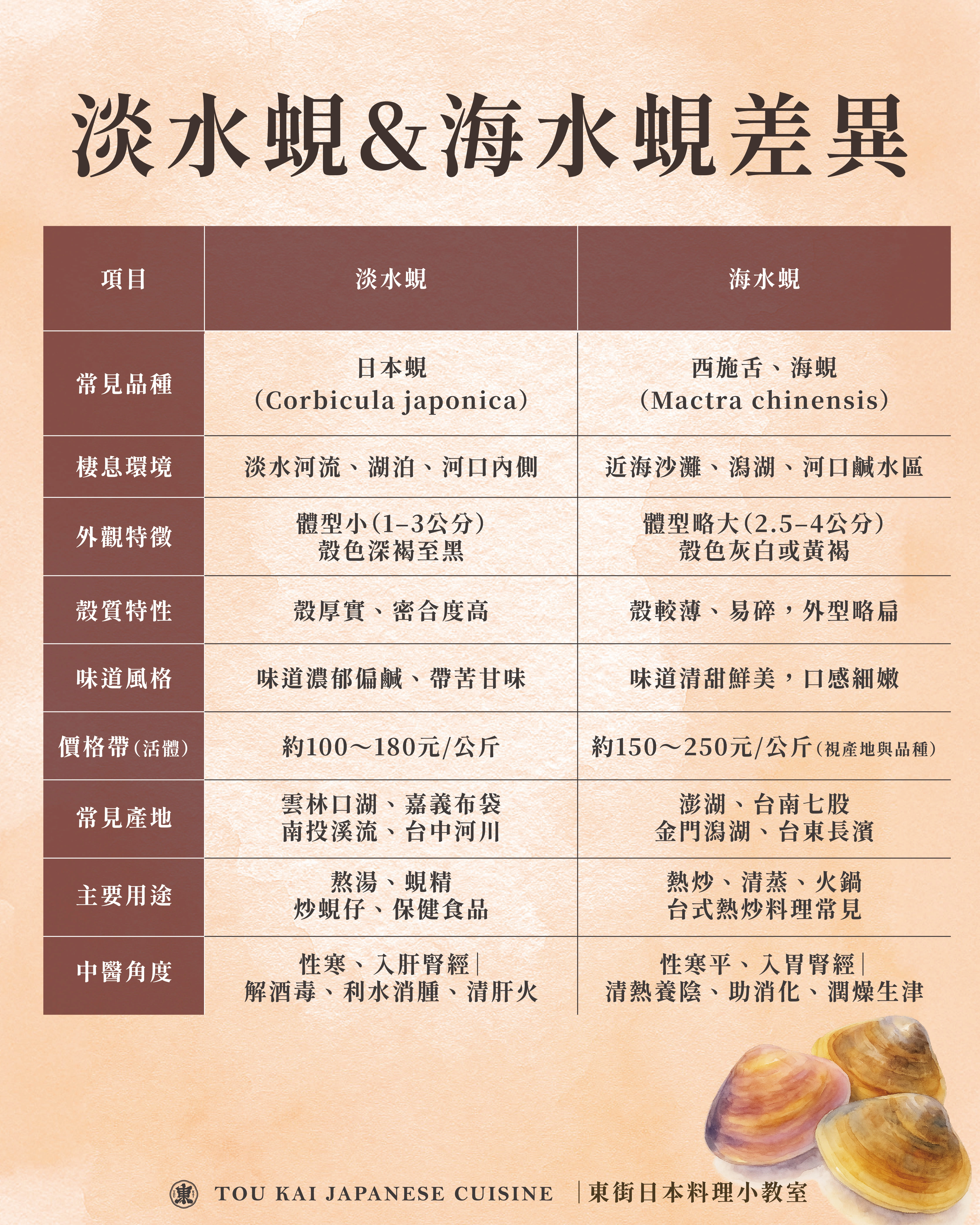 蜆,蜆精,蜆精功效