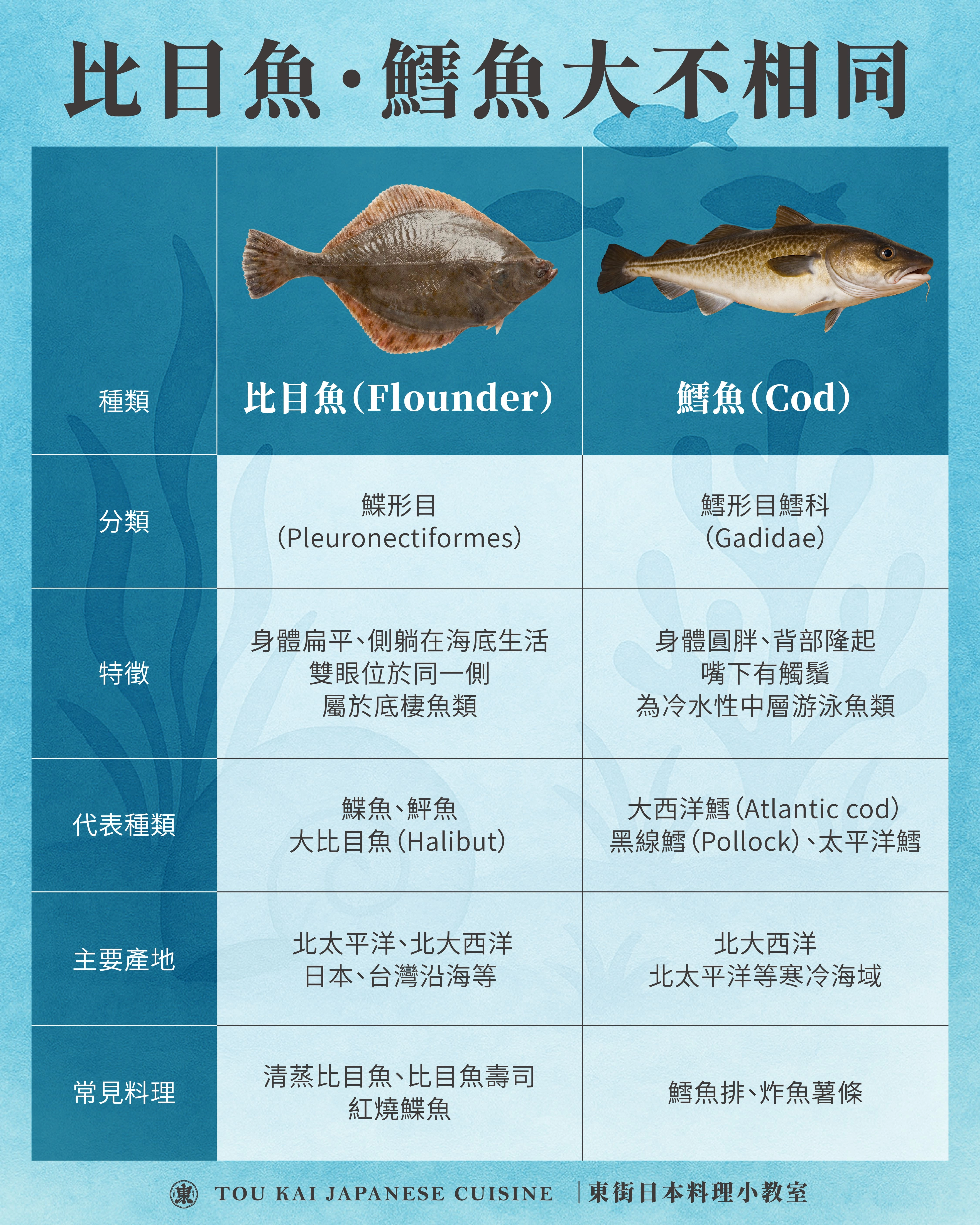 比目魚,大比目魚,扁鱈